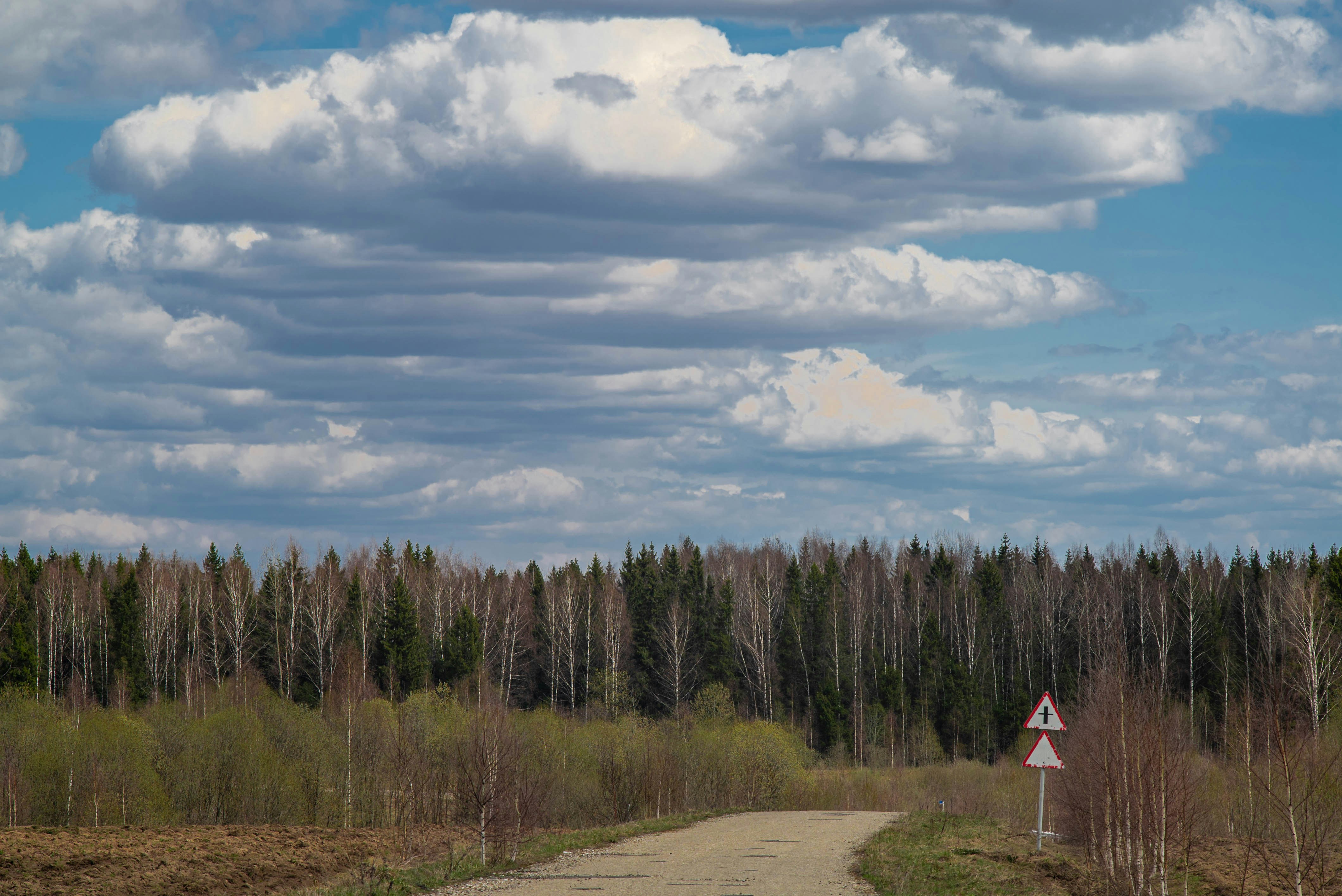 a road with trees on the side