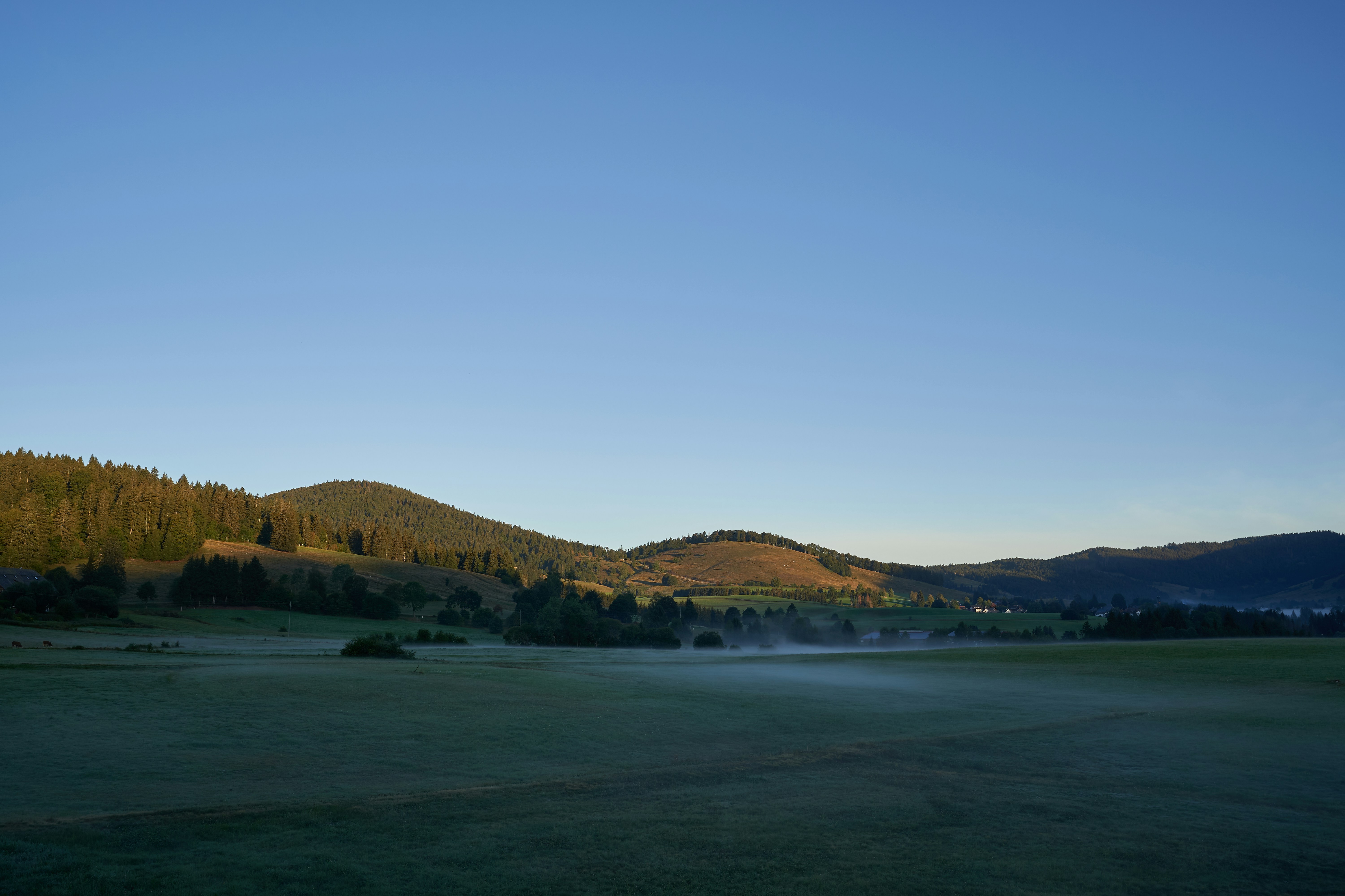 Photo by wolfgang_hasselmann