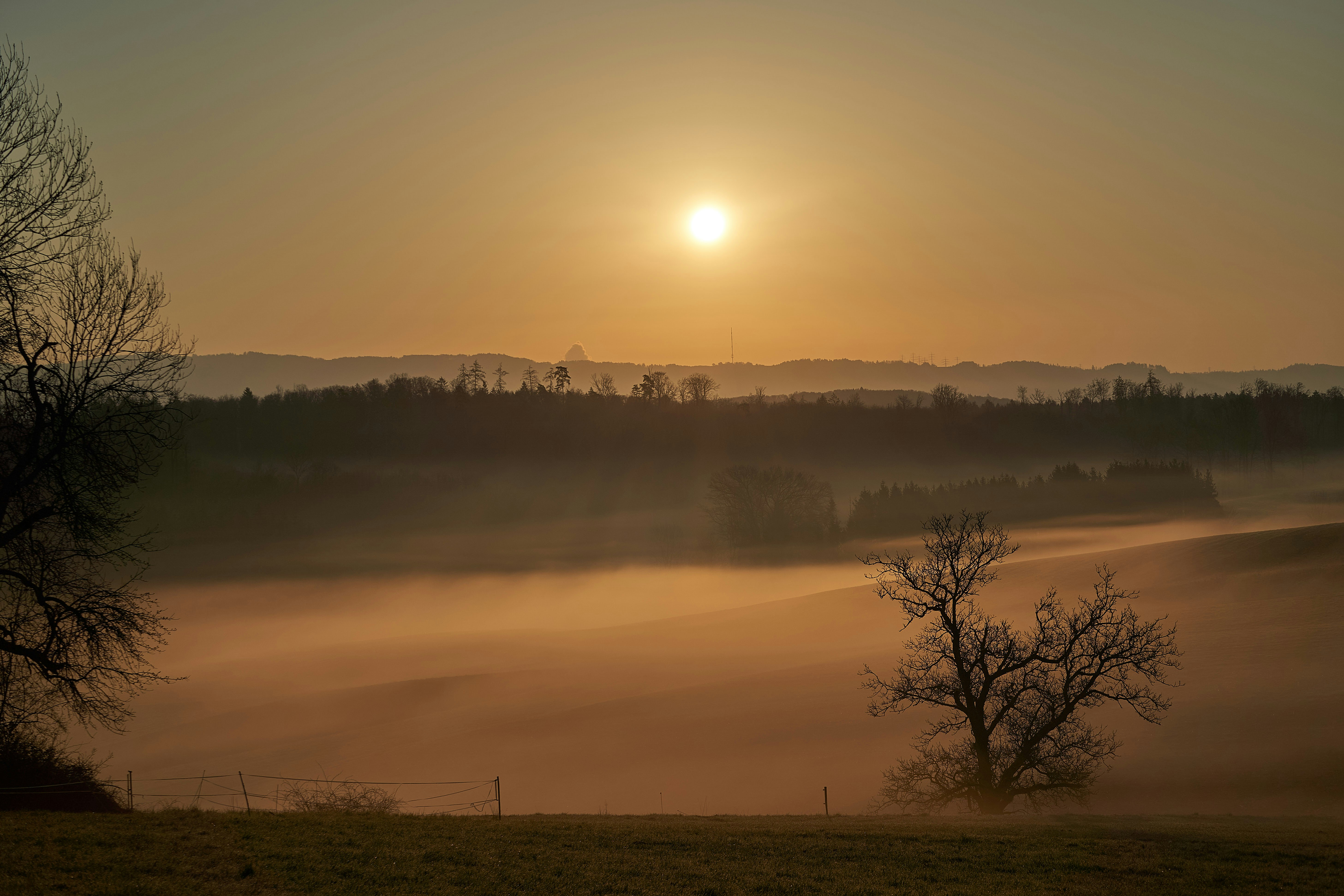 Photo by wolfgang_hasselmann