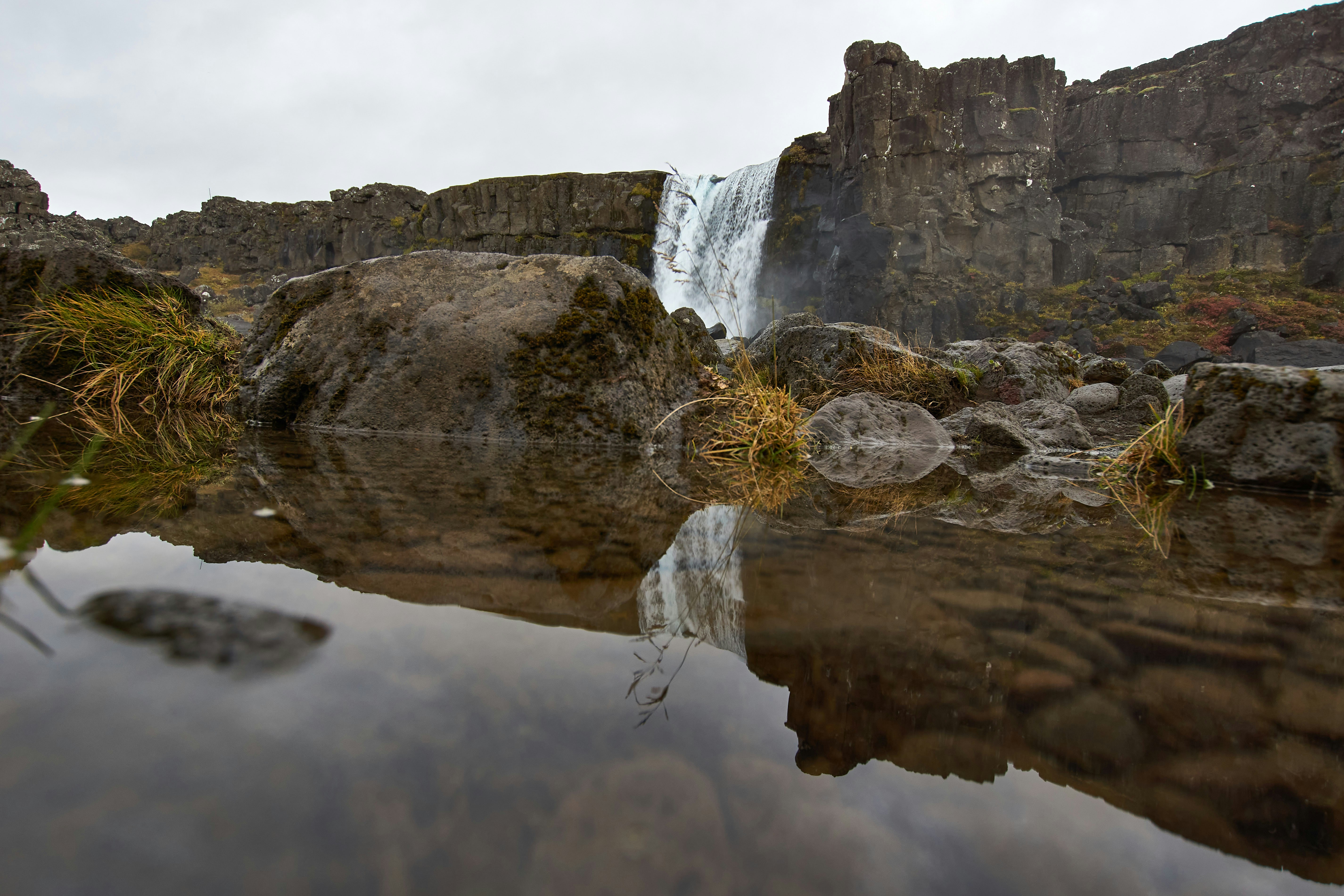 Photo by wolfgang_hasselmann