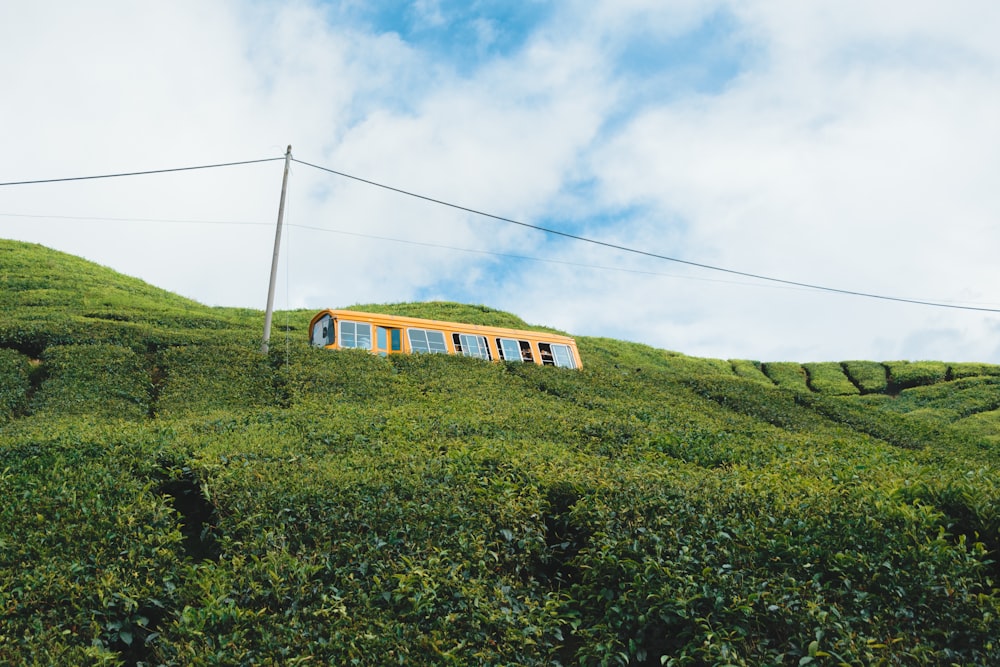 a yellow train on a hill