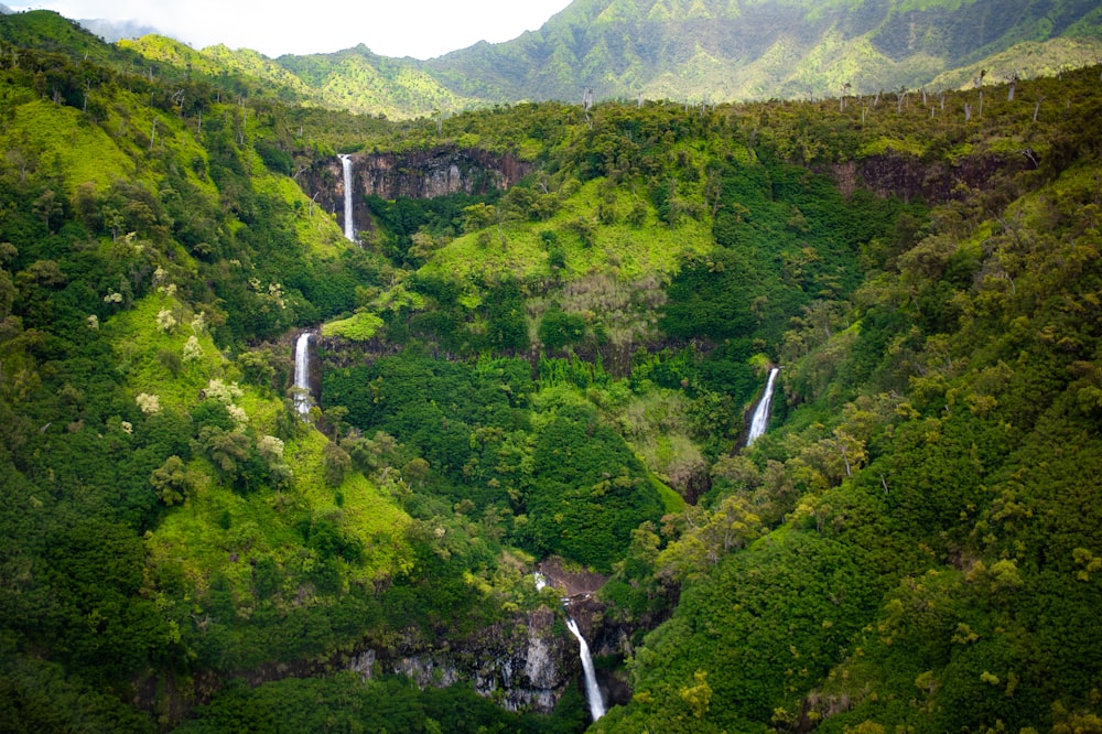 a waterfall in a forest