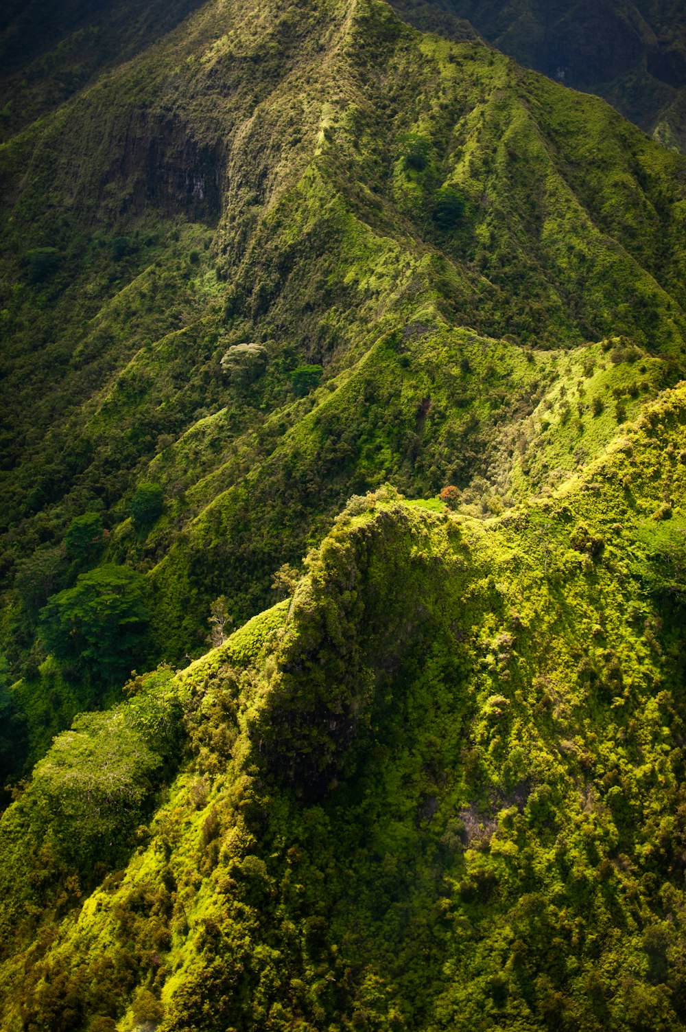 a large green mountain