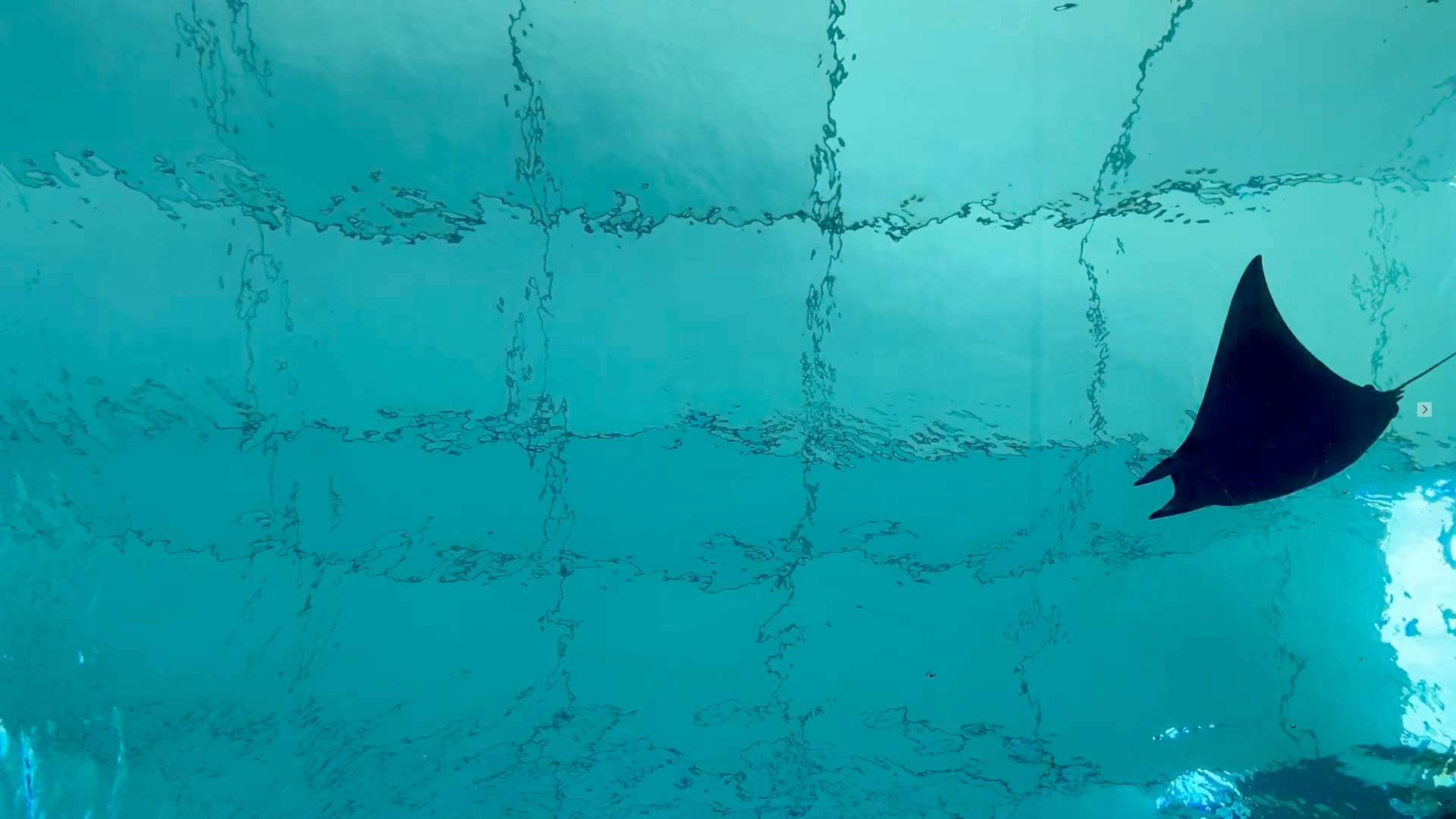 gray computer monitor