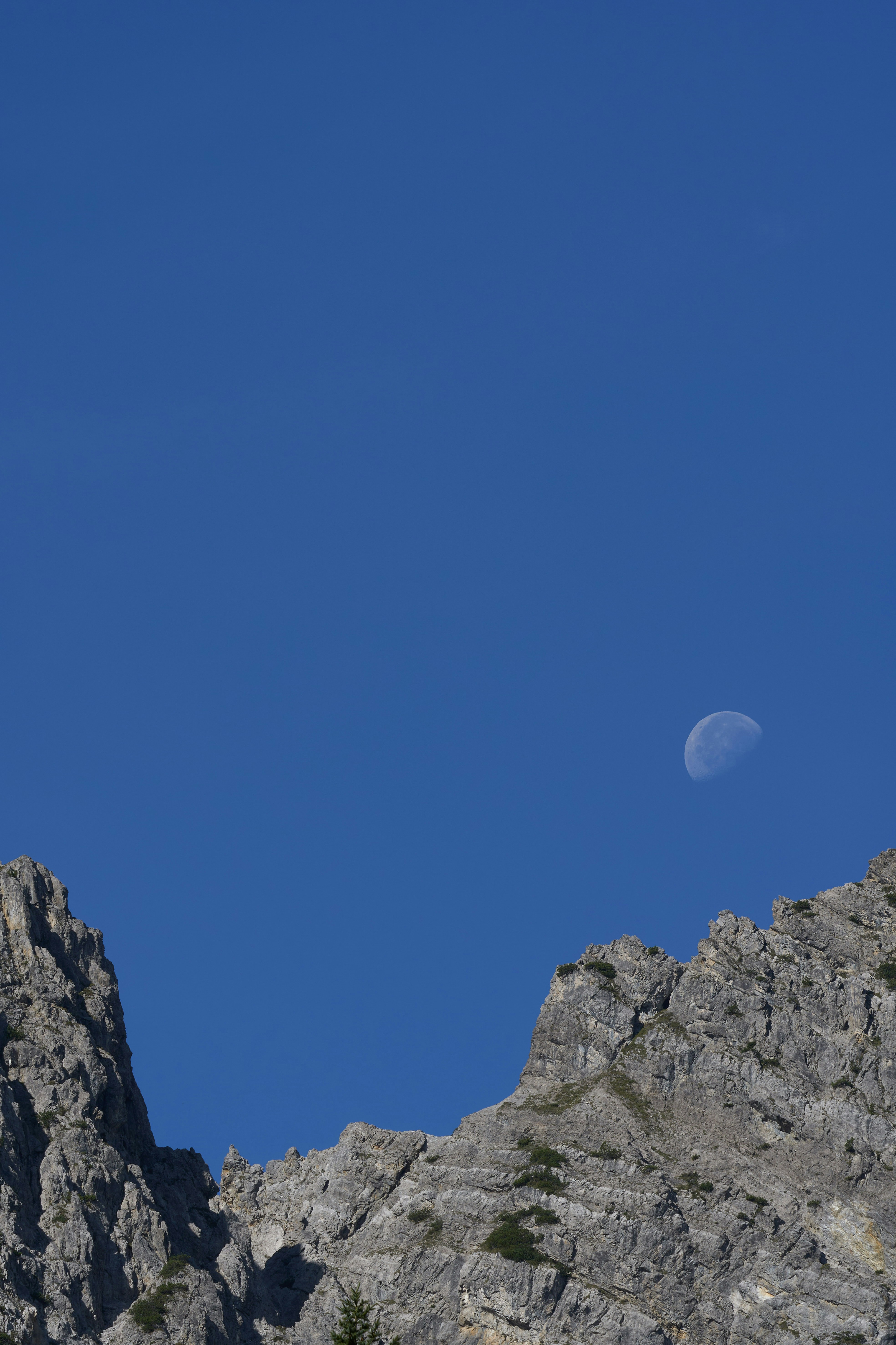 Photo by wolfgang_hasselmann