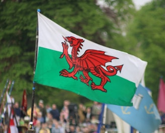 a group of people holding flags