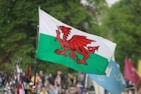 a group of people holding flags