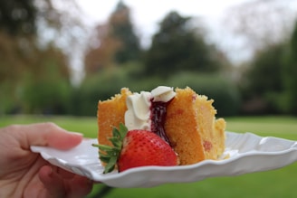 a person holds a piece of cake