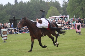 A person dressed in traditional attire is performing a stunt on a horse with an audience watching in the background. The scene is set on a grassy field, surrounded by trees. Various banners and flags add color to the lively atmosphere.