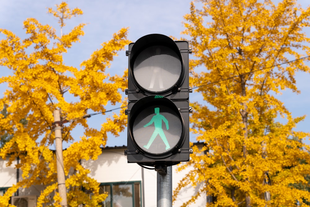 a cross walk light with a green figure on it