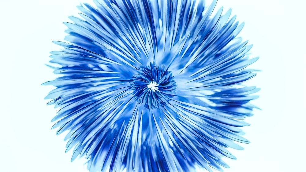 a blue flower with a white background