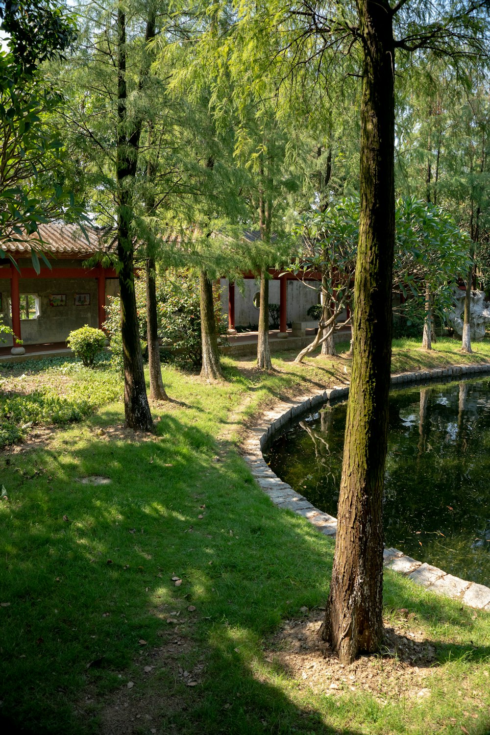 a small pond in a park