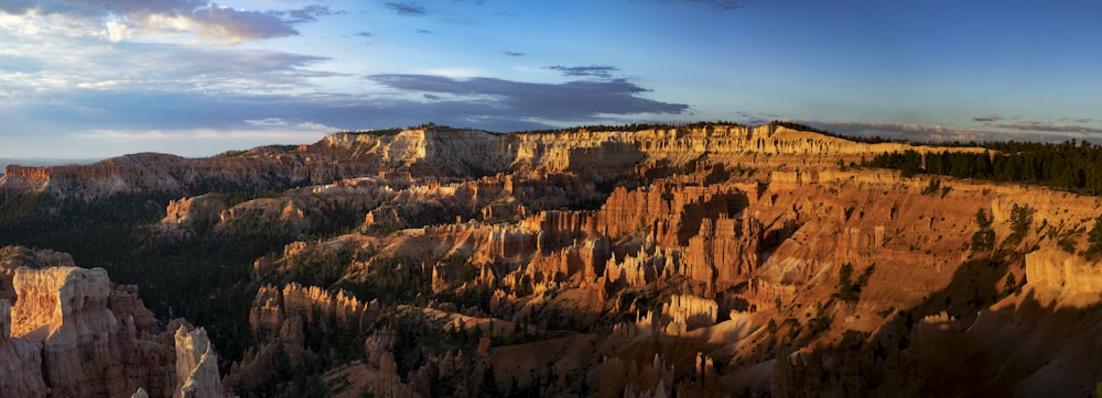 a rocky canyon with trees