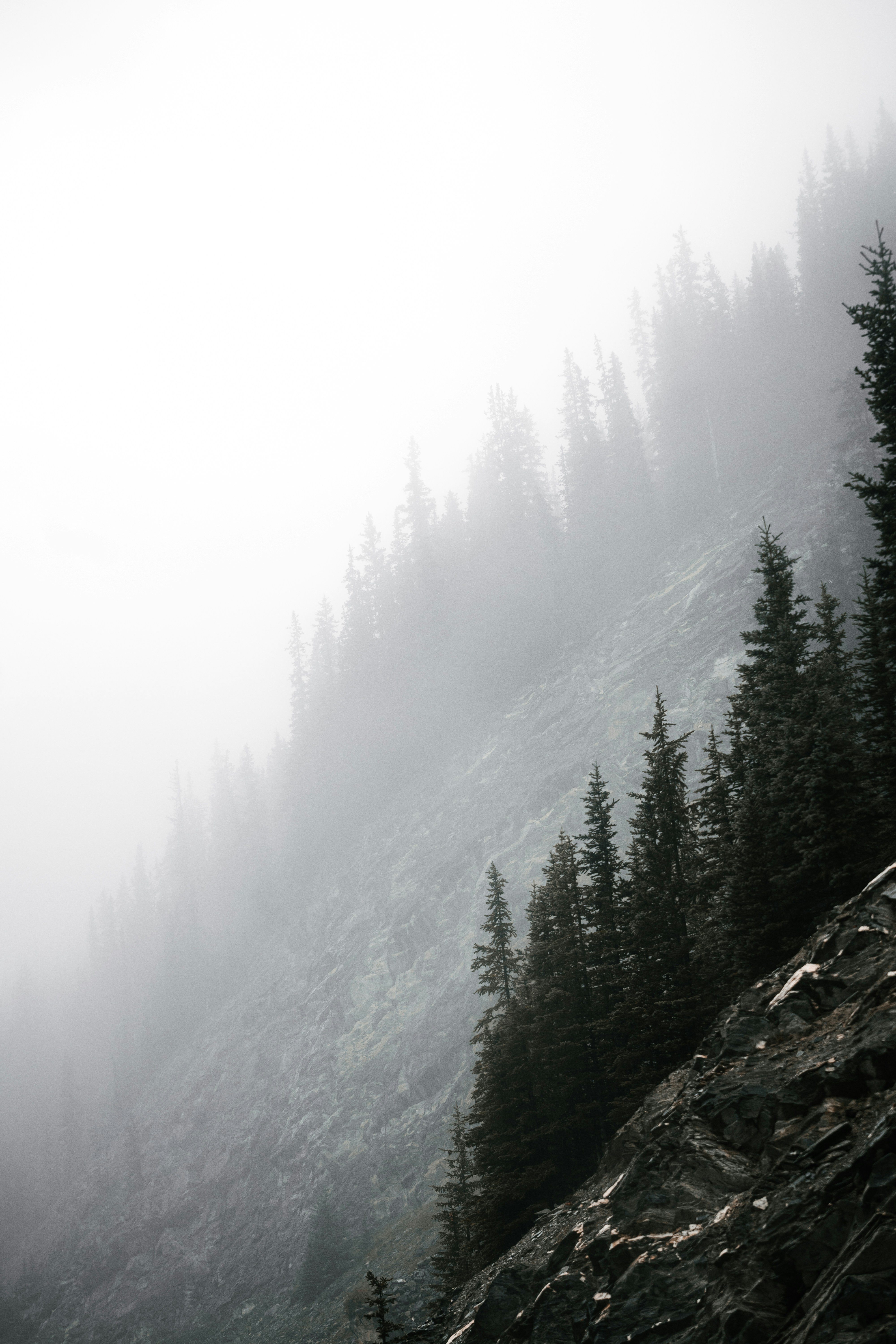 Photo by keithtanman