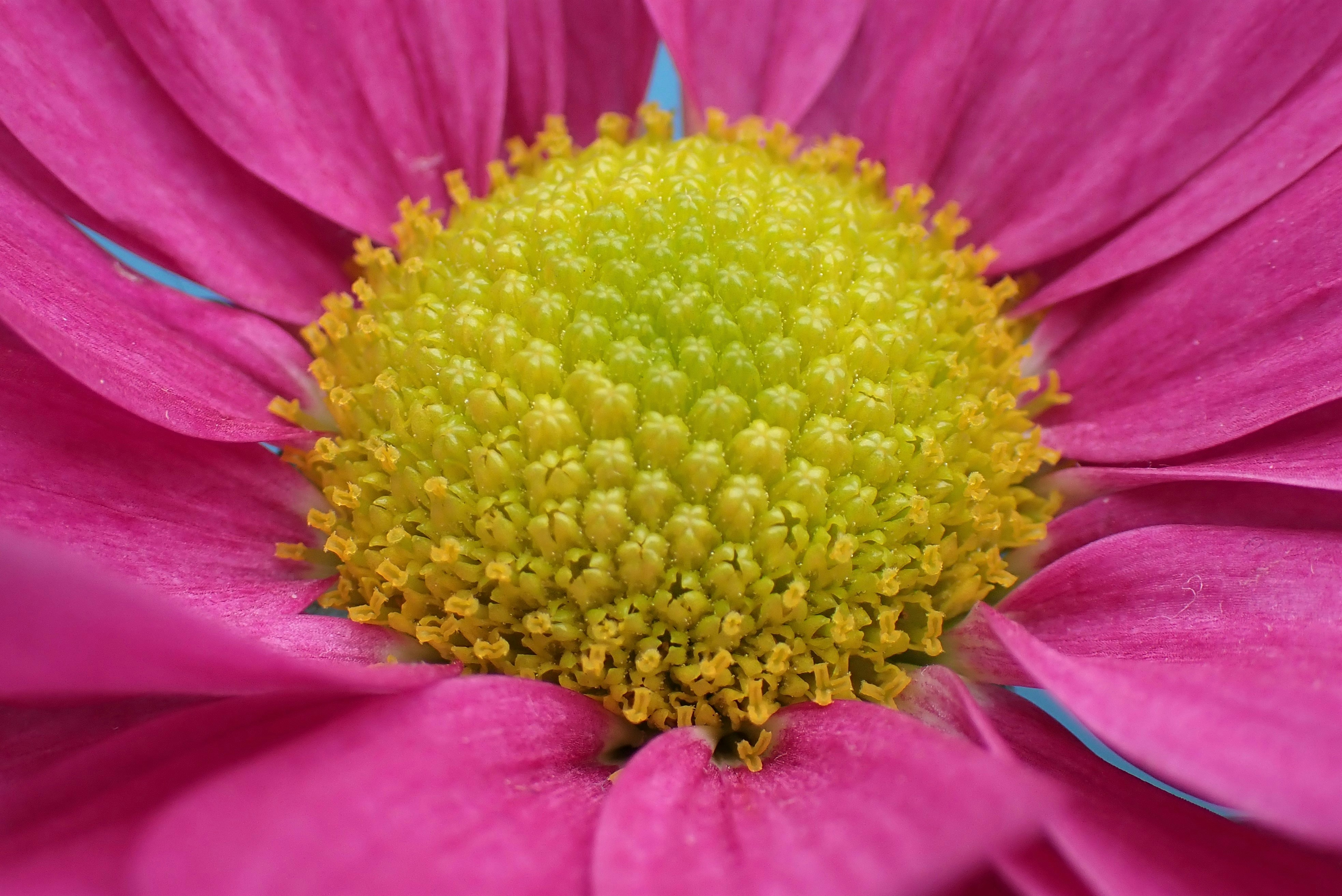 Photo by mostlymarvelling