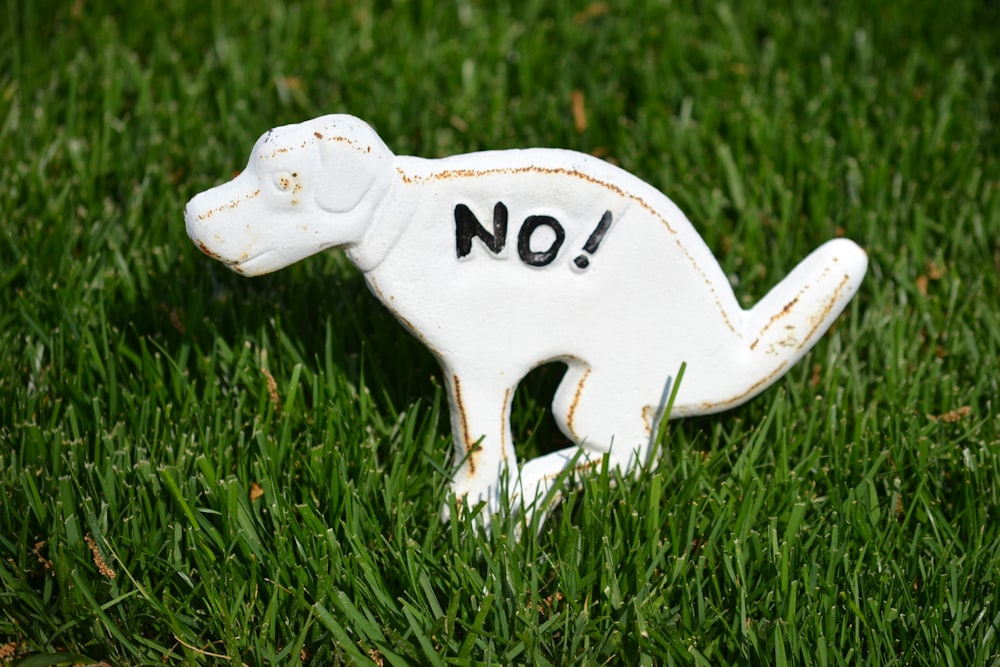 a white fish with black text on it lying on grass