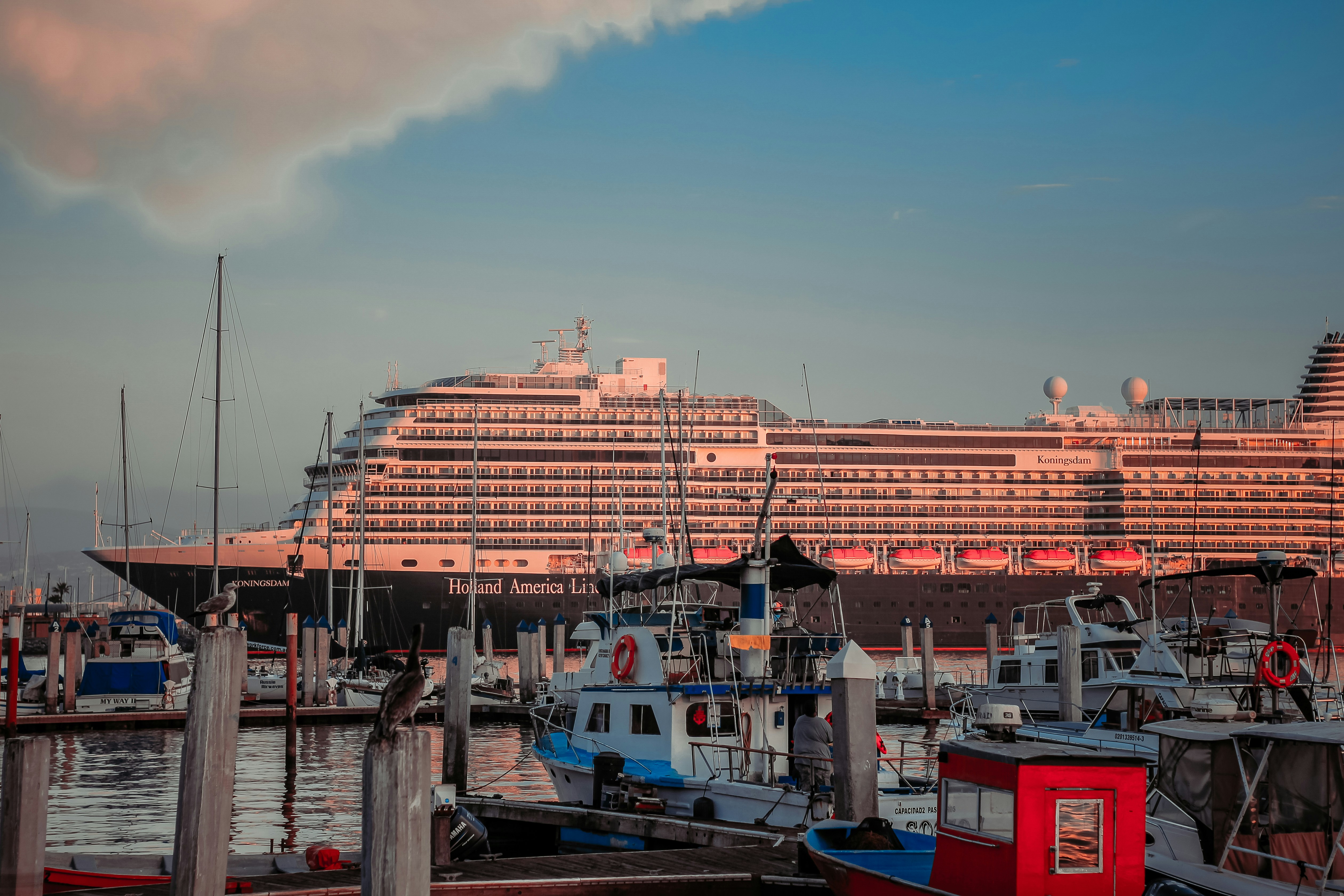 Photo by livingcolortj