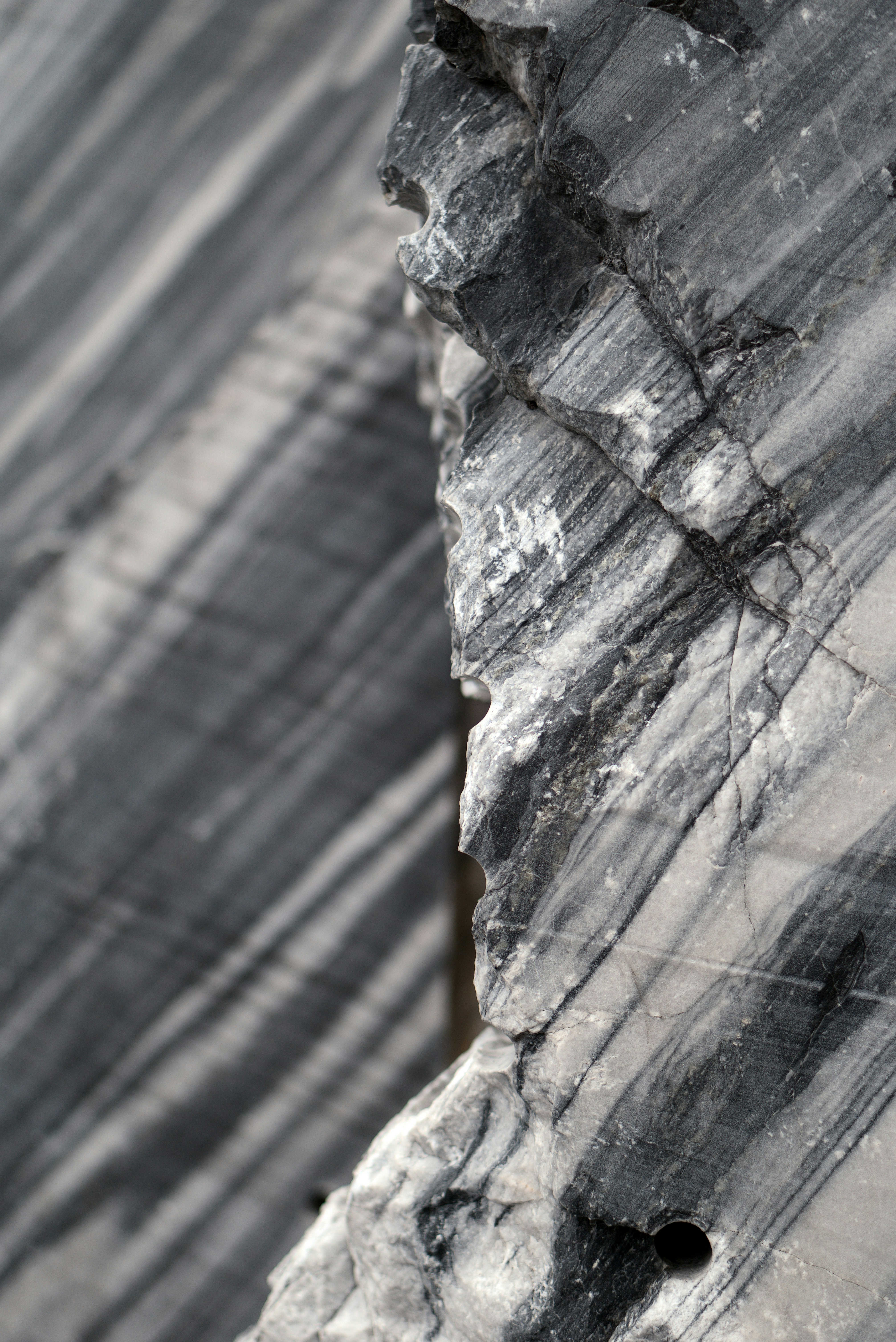 Photo by astashov_artem