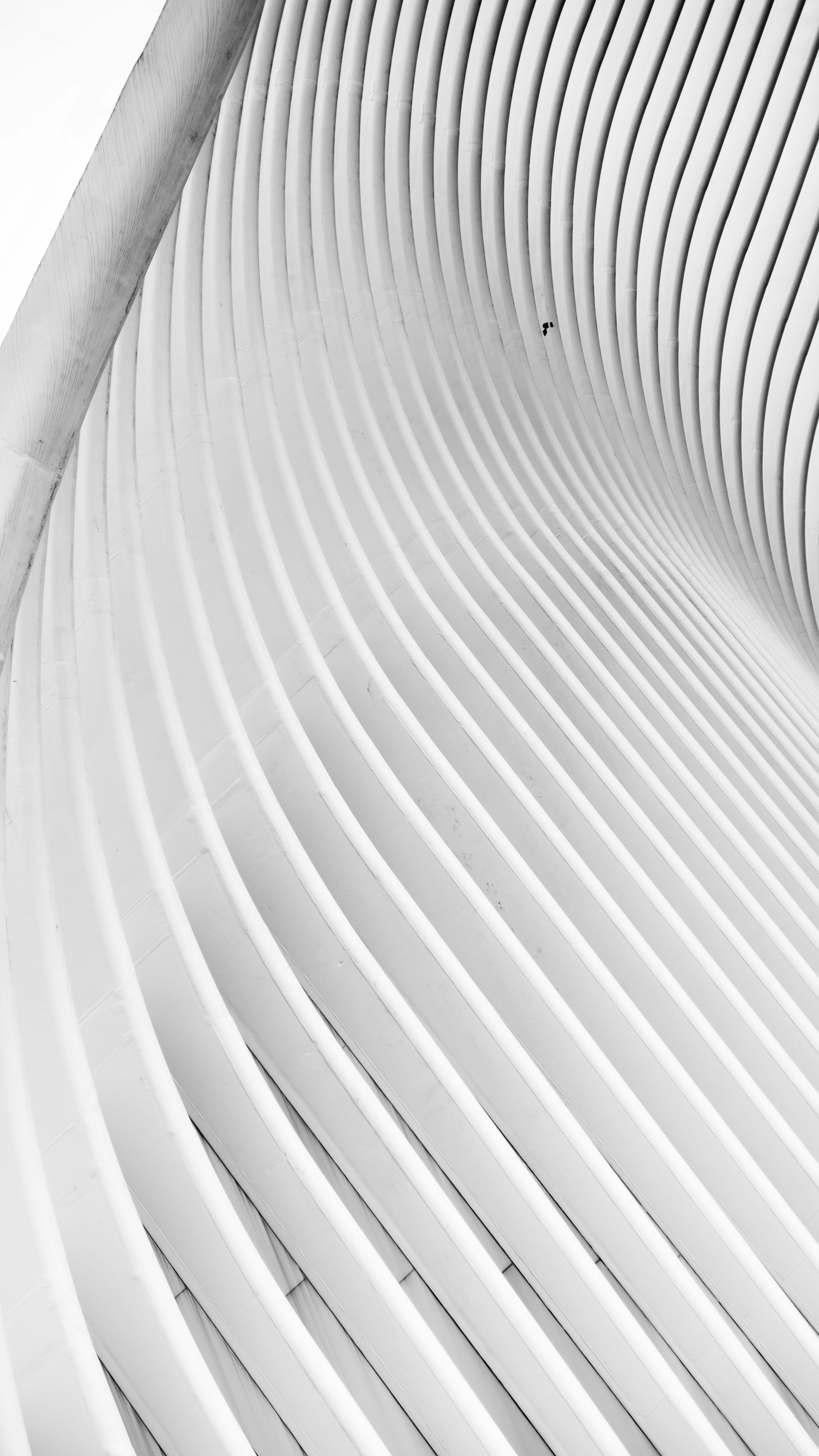 Photo by pixelatelier