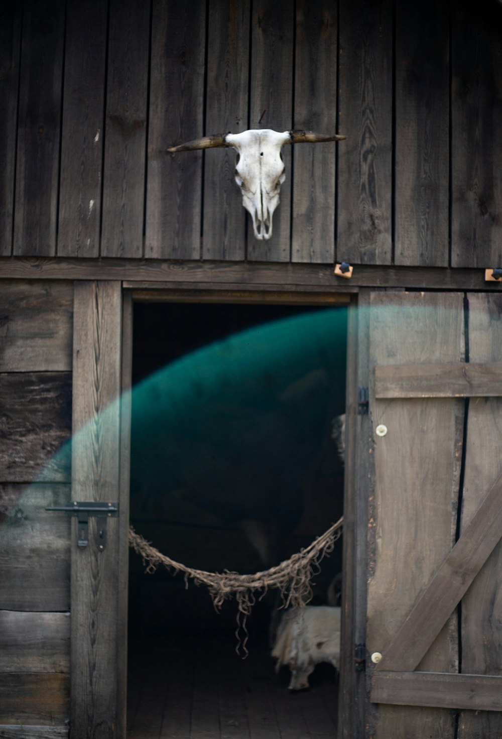 uma cabra em um celeiro