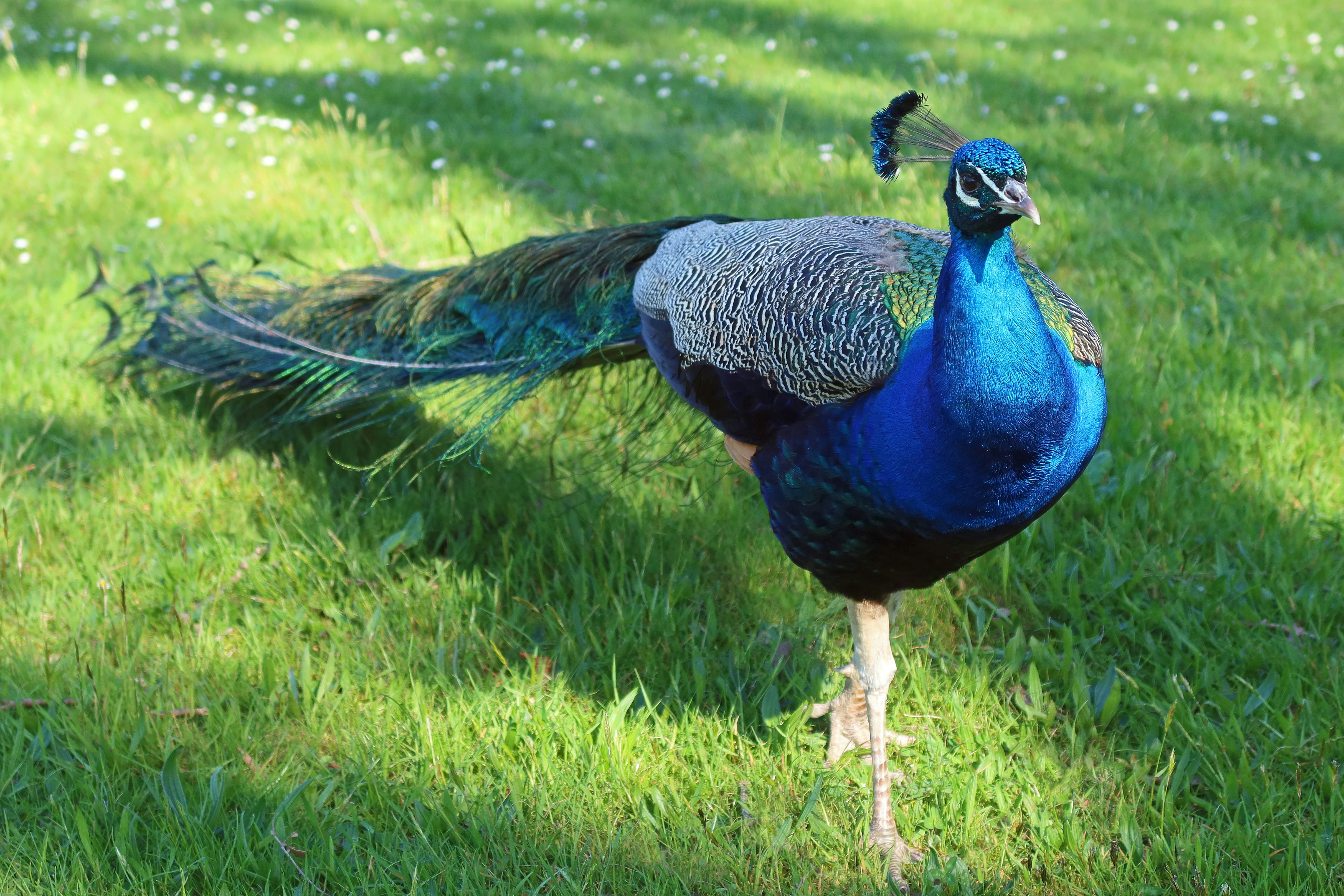 Photo by chrislinnett