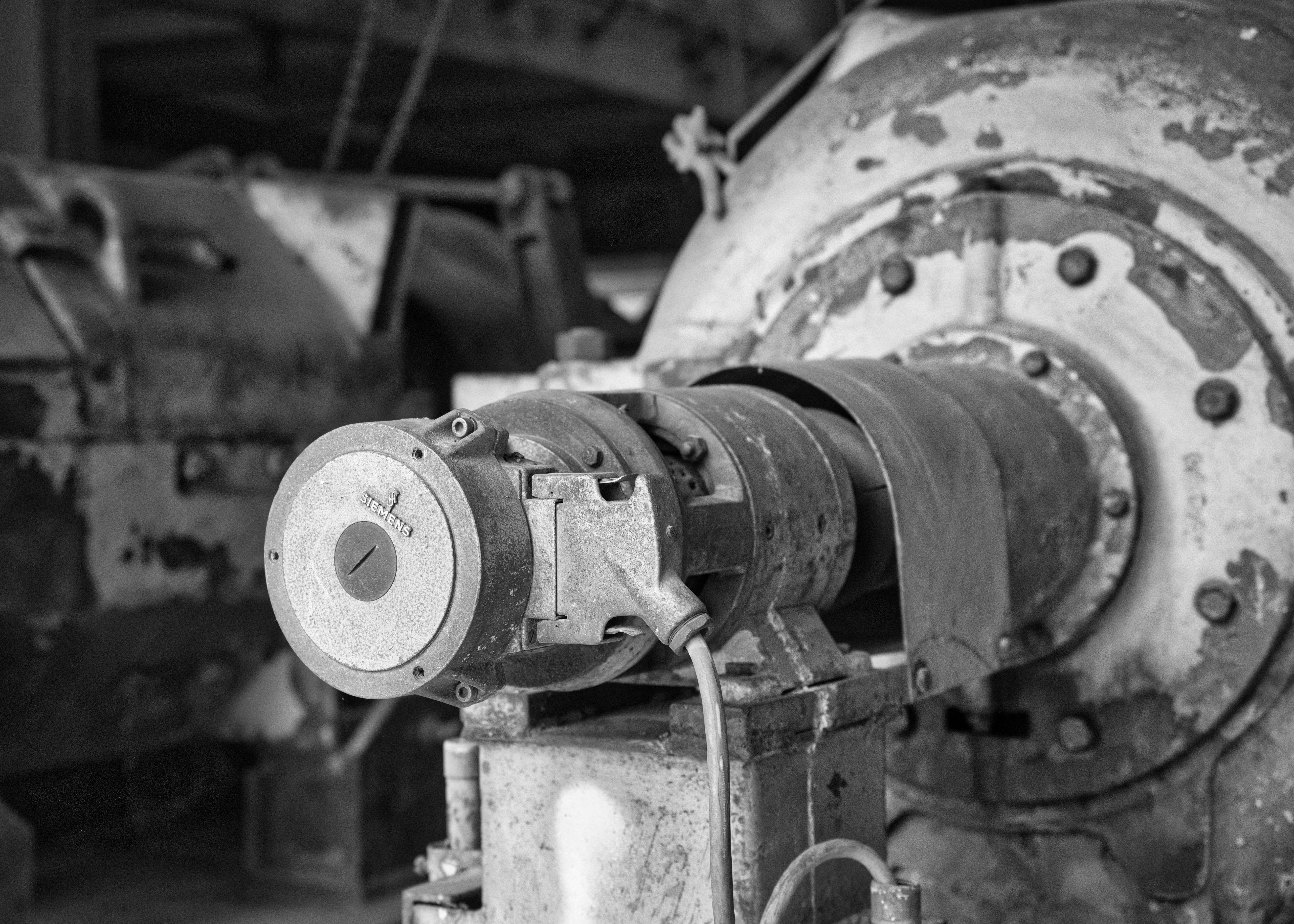 Photo by gabor_koszegi