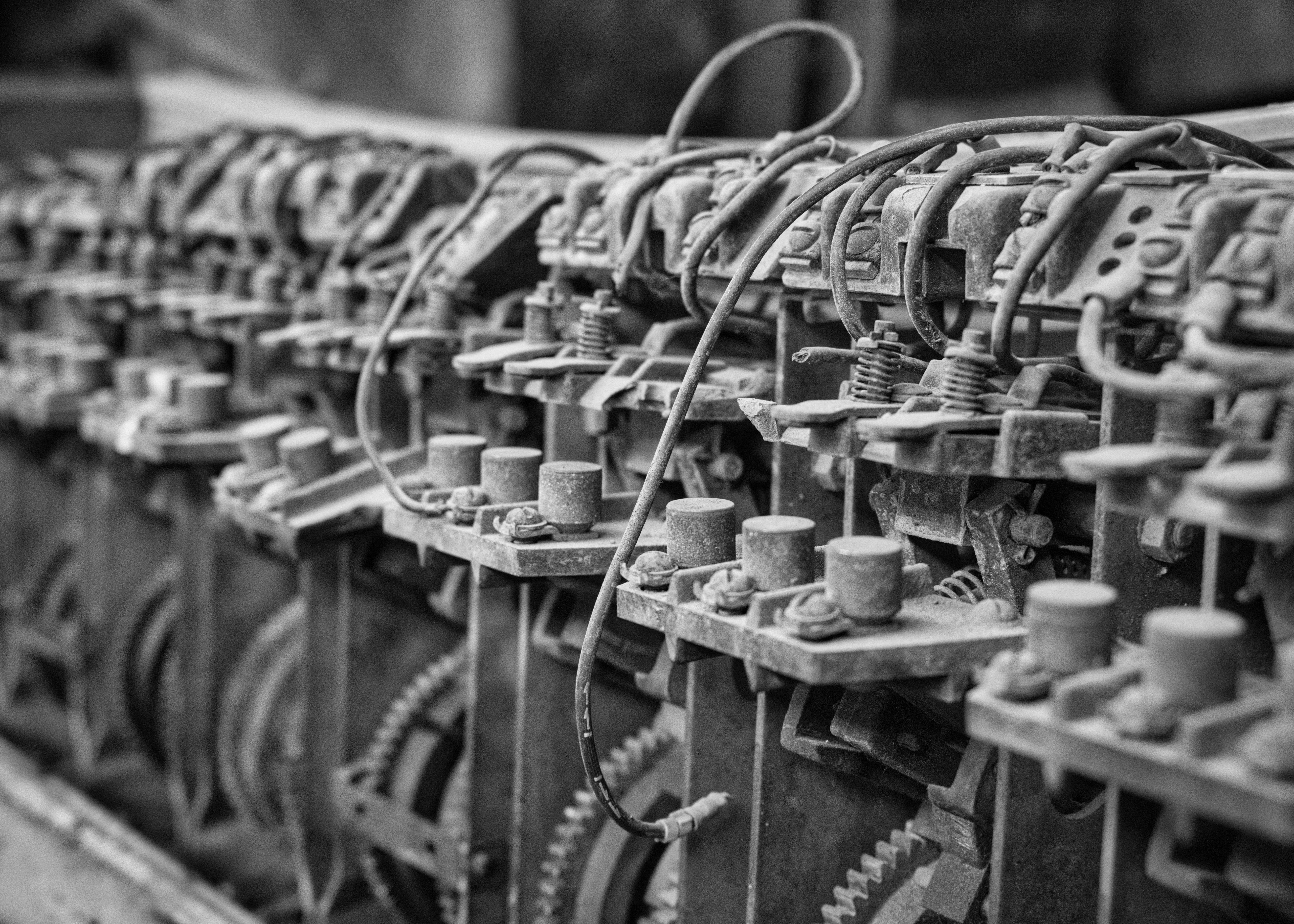 Photo by gabor_koszegi