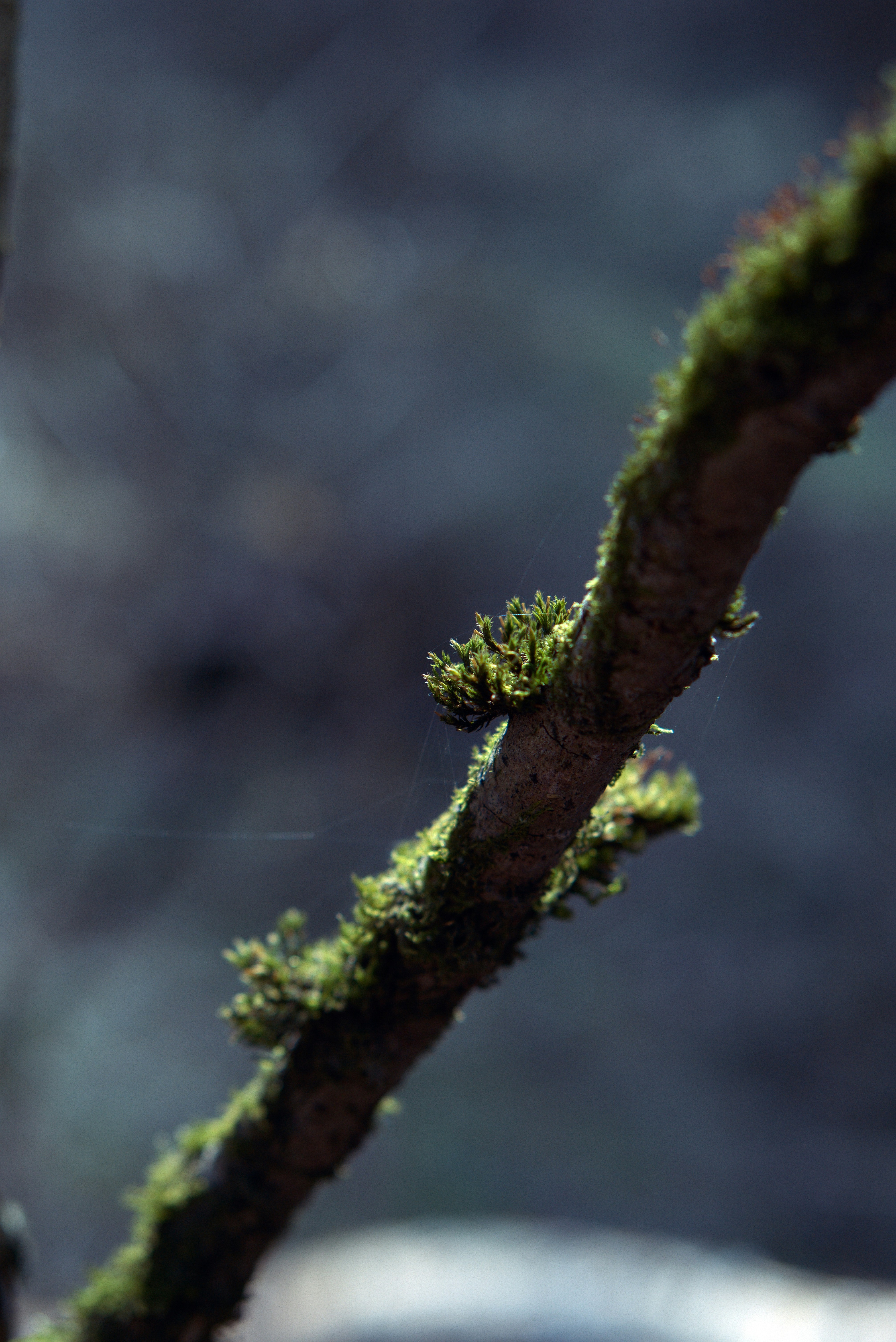 Photo by astashov_artem