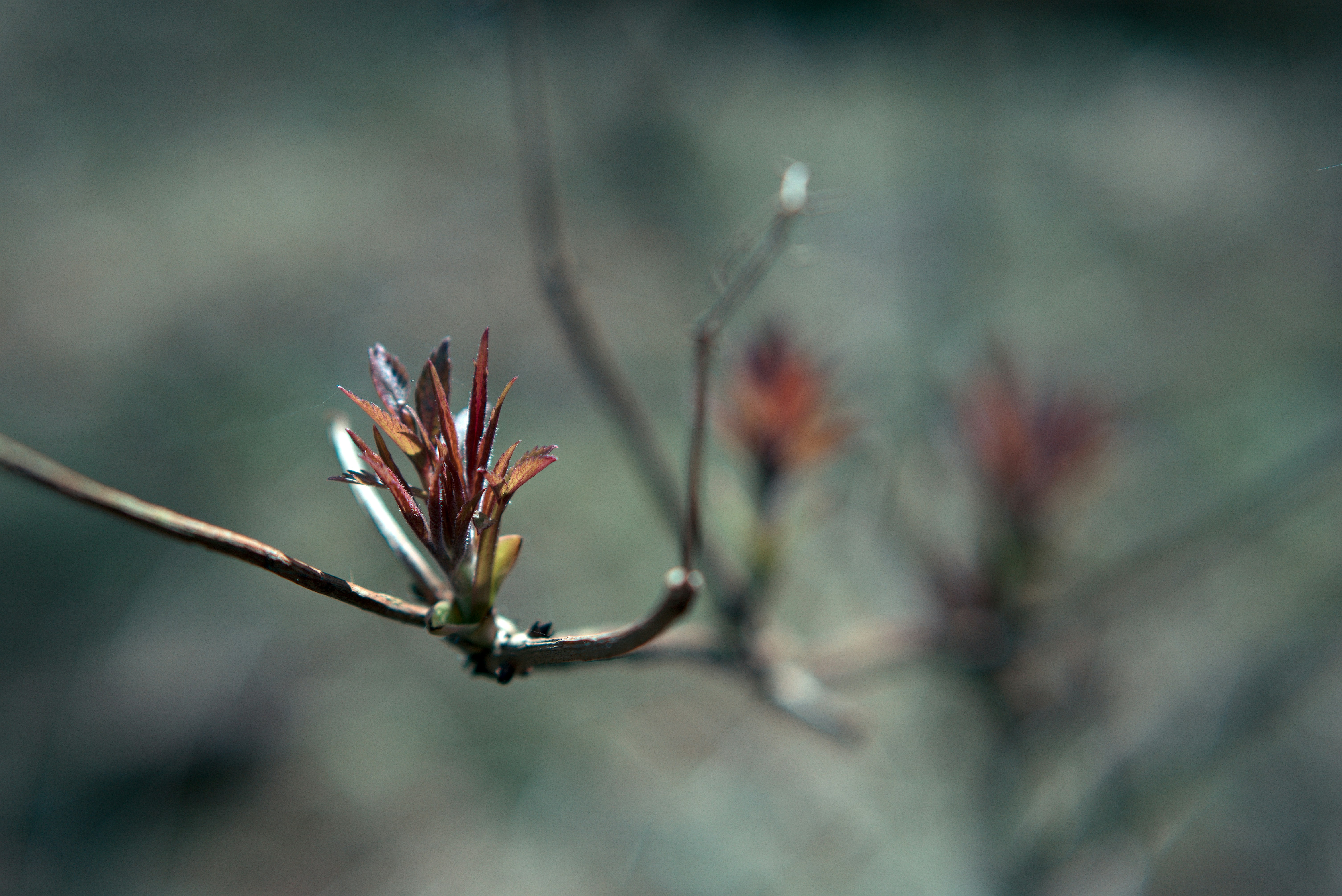 Photo by astashov_artem