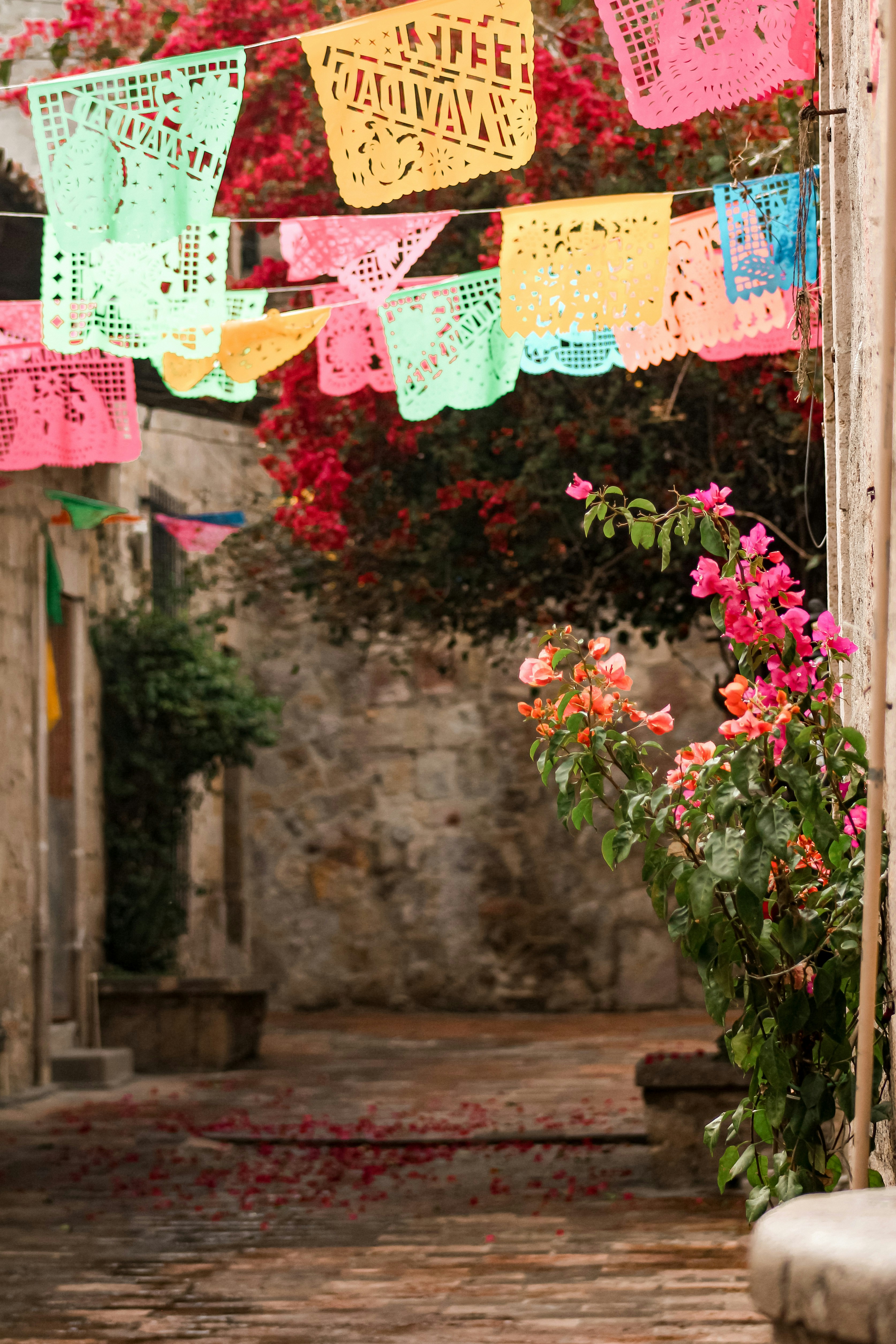 a wall with signs and flowers