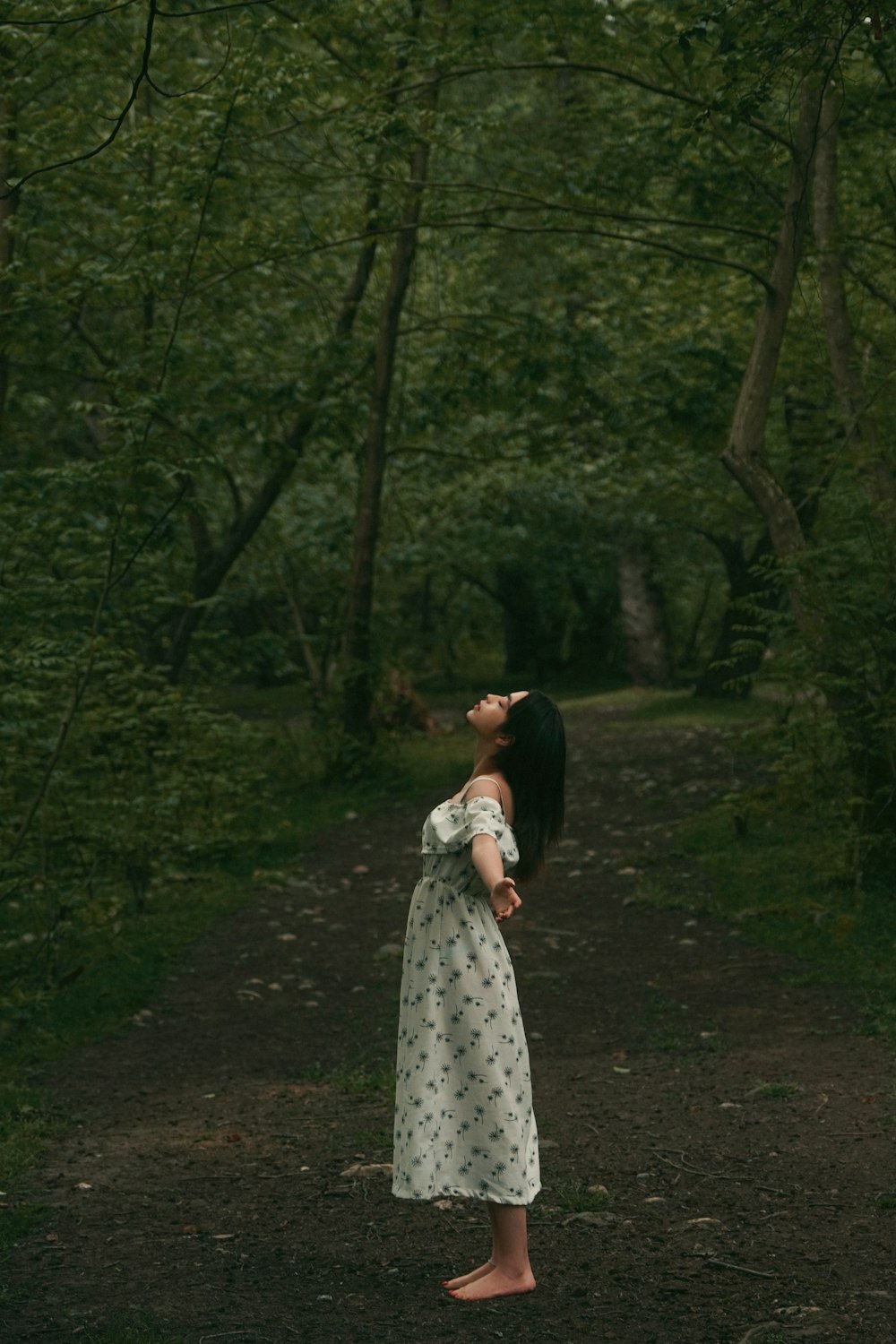 a person standing on a path in a forest