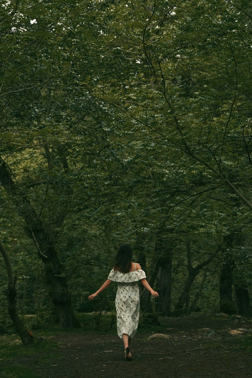 a man walking on a path in a forest