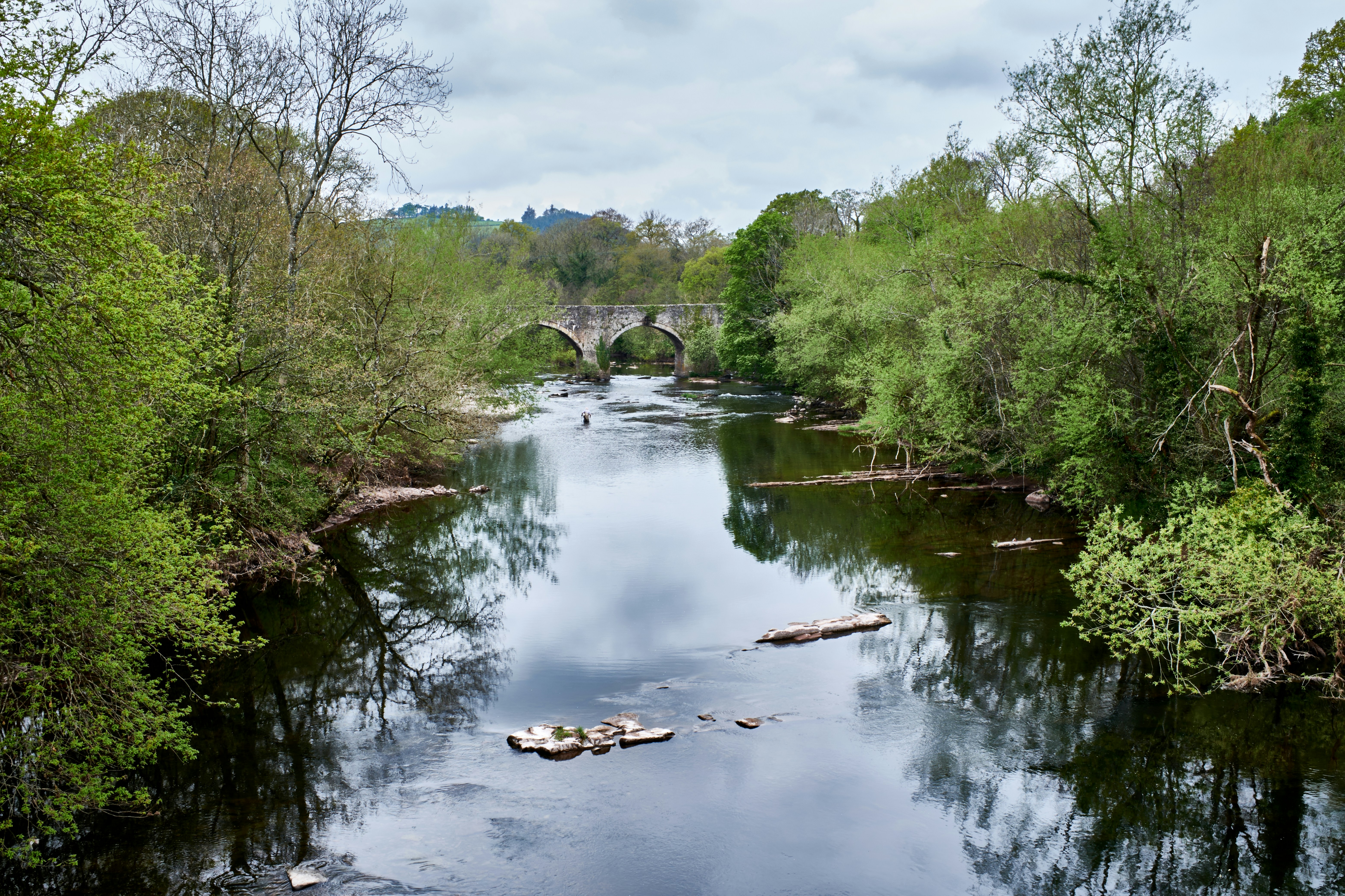 Photo by bullfishfighter