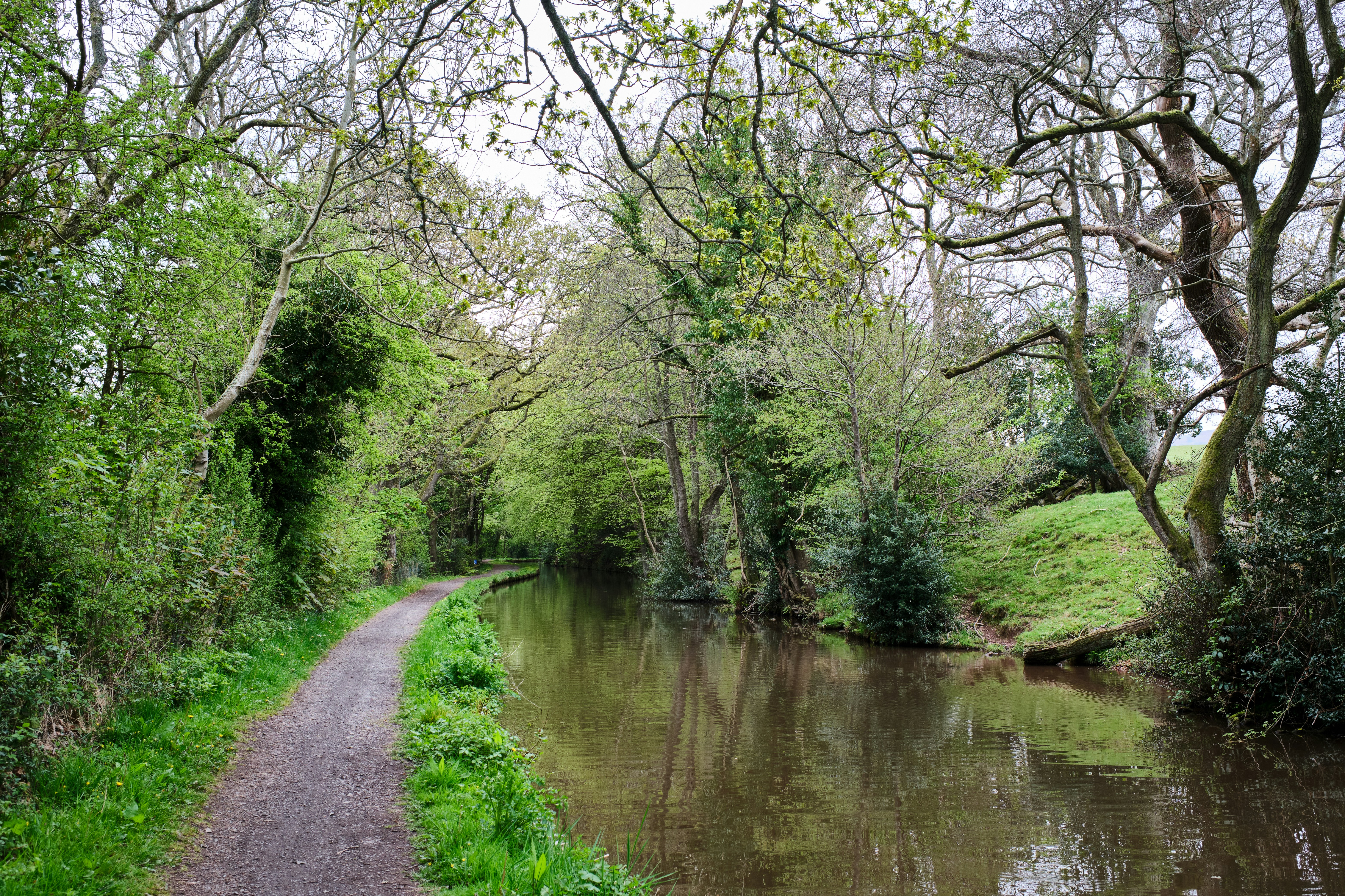 photo-1651620683603-d850a1600d0b