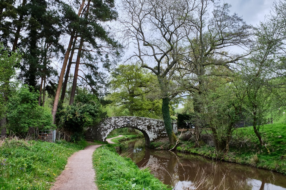 Un puente sobre un río