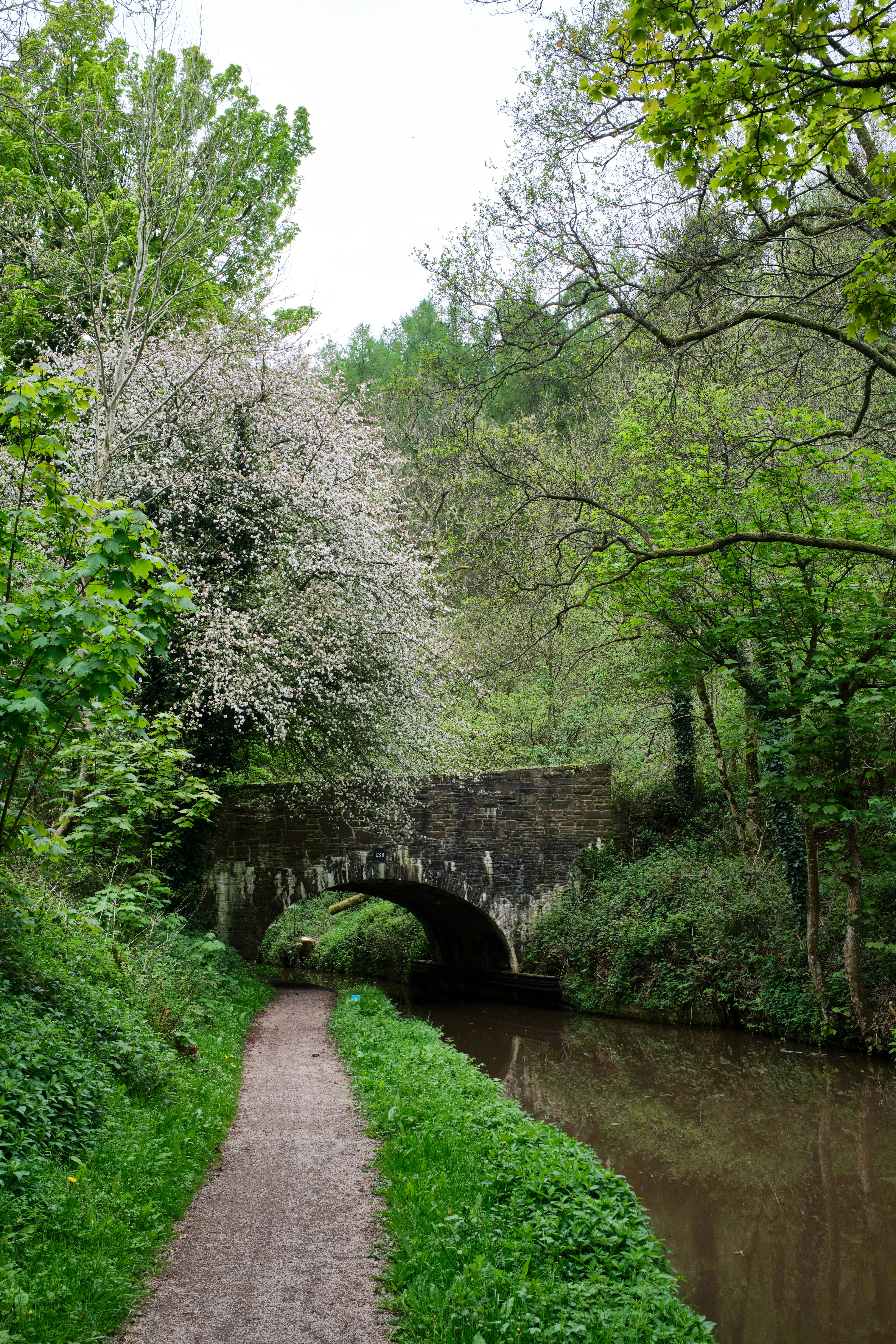 Photo by bullfishfighter