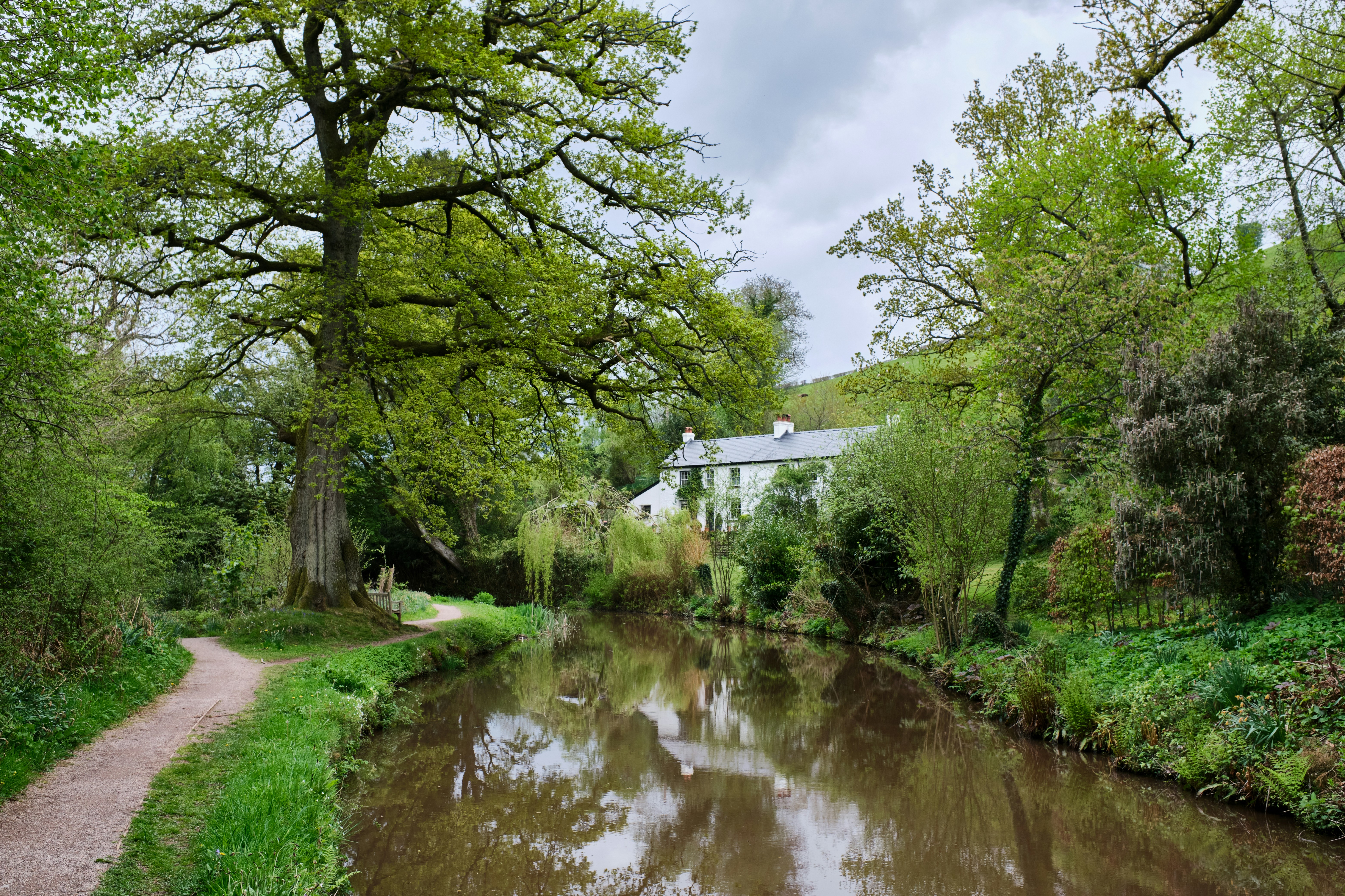 Photo by bullfishfighter