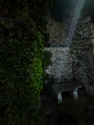 Sunlit garden corner with rustic stone benches and blooming Mediterranean plants.