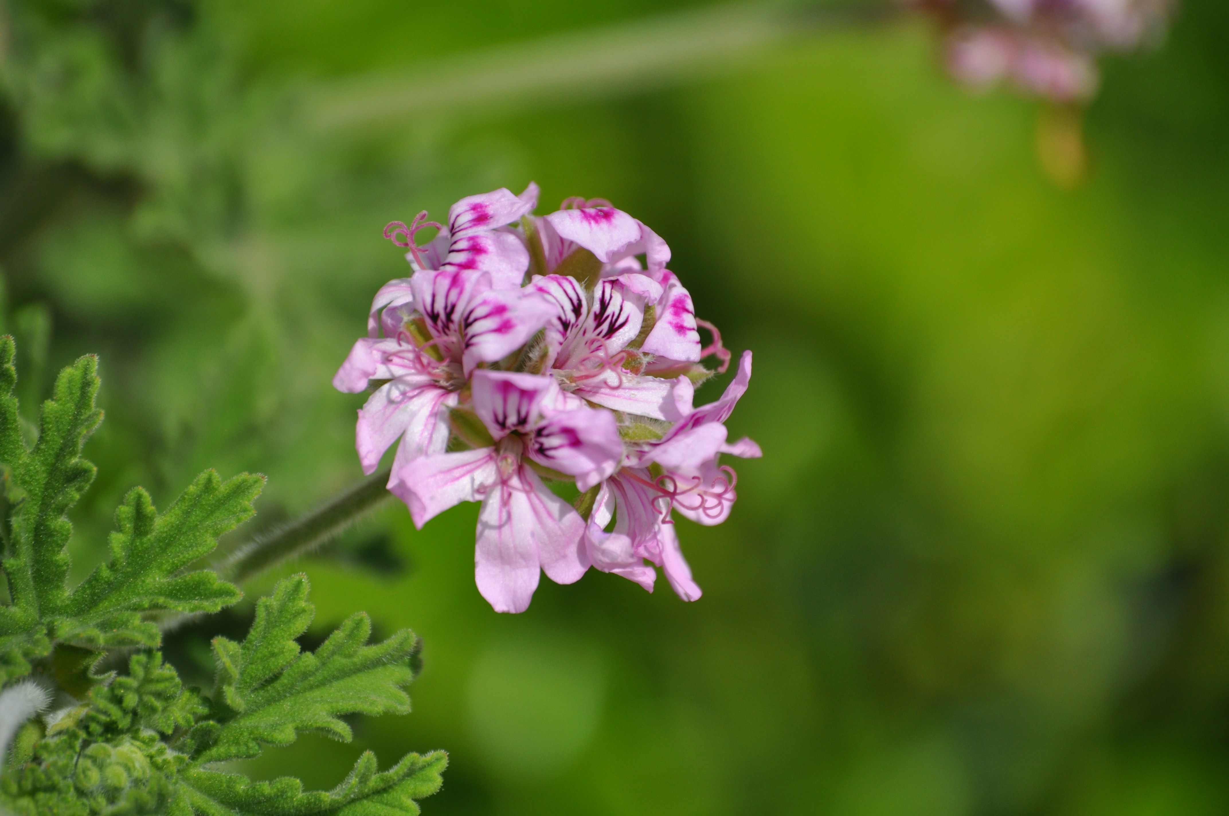 Photo by leylaseyhan