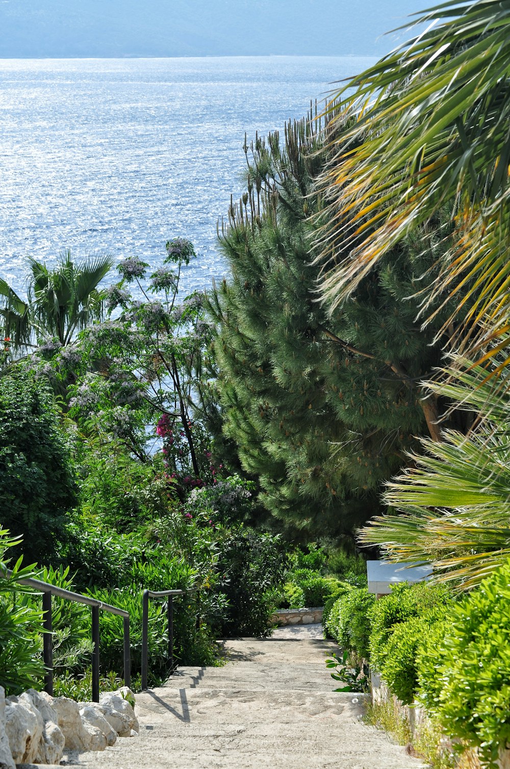 a path leading to a beach