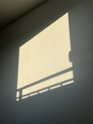 Minimalist 3D wireframe shapes casting soft shadows on a deep black background.