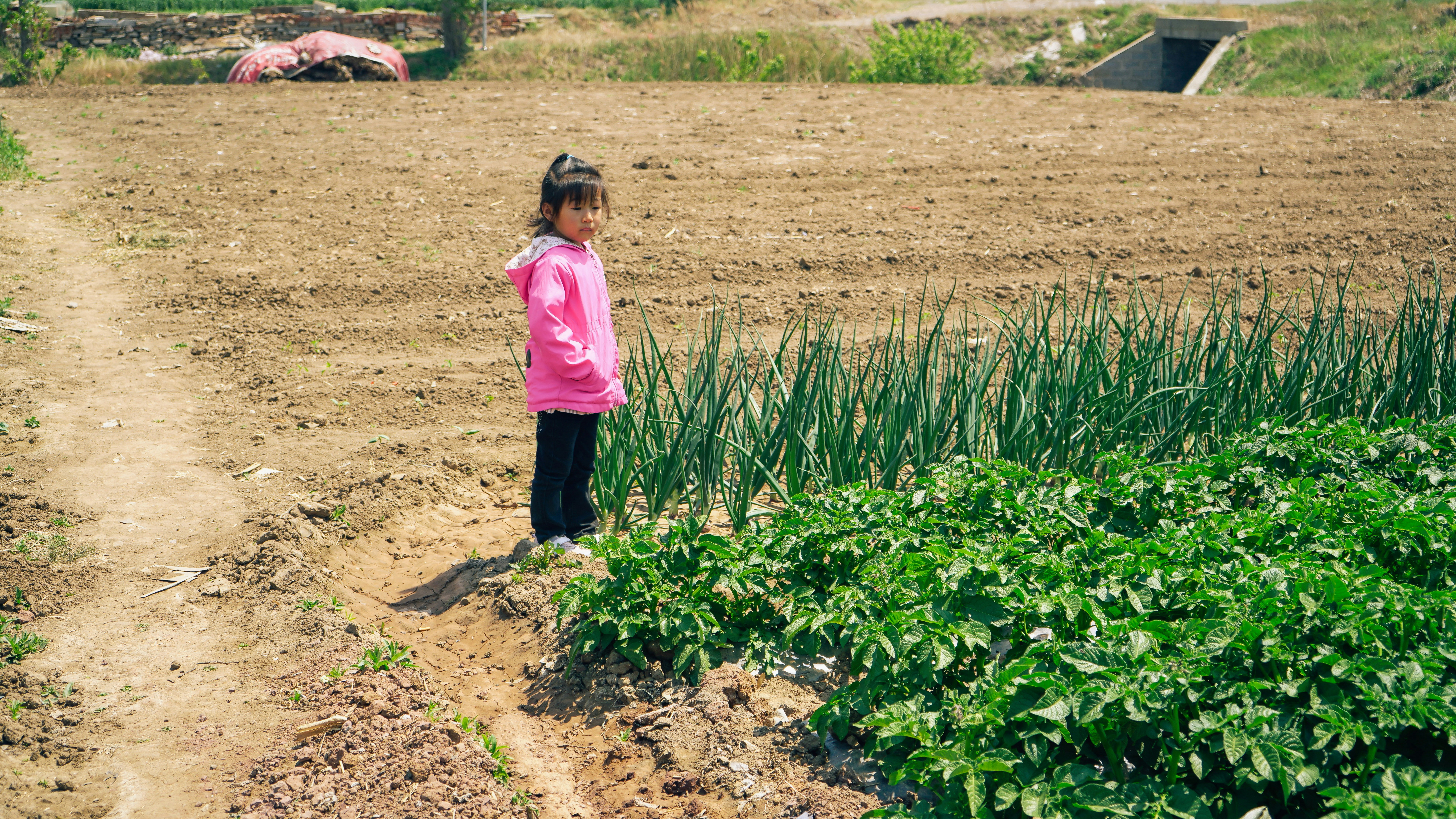 a girl standing in a field of plants
