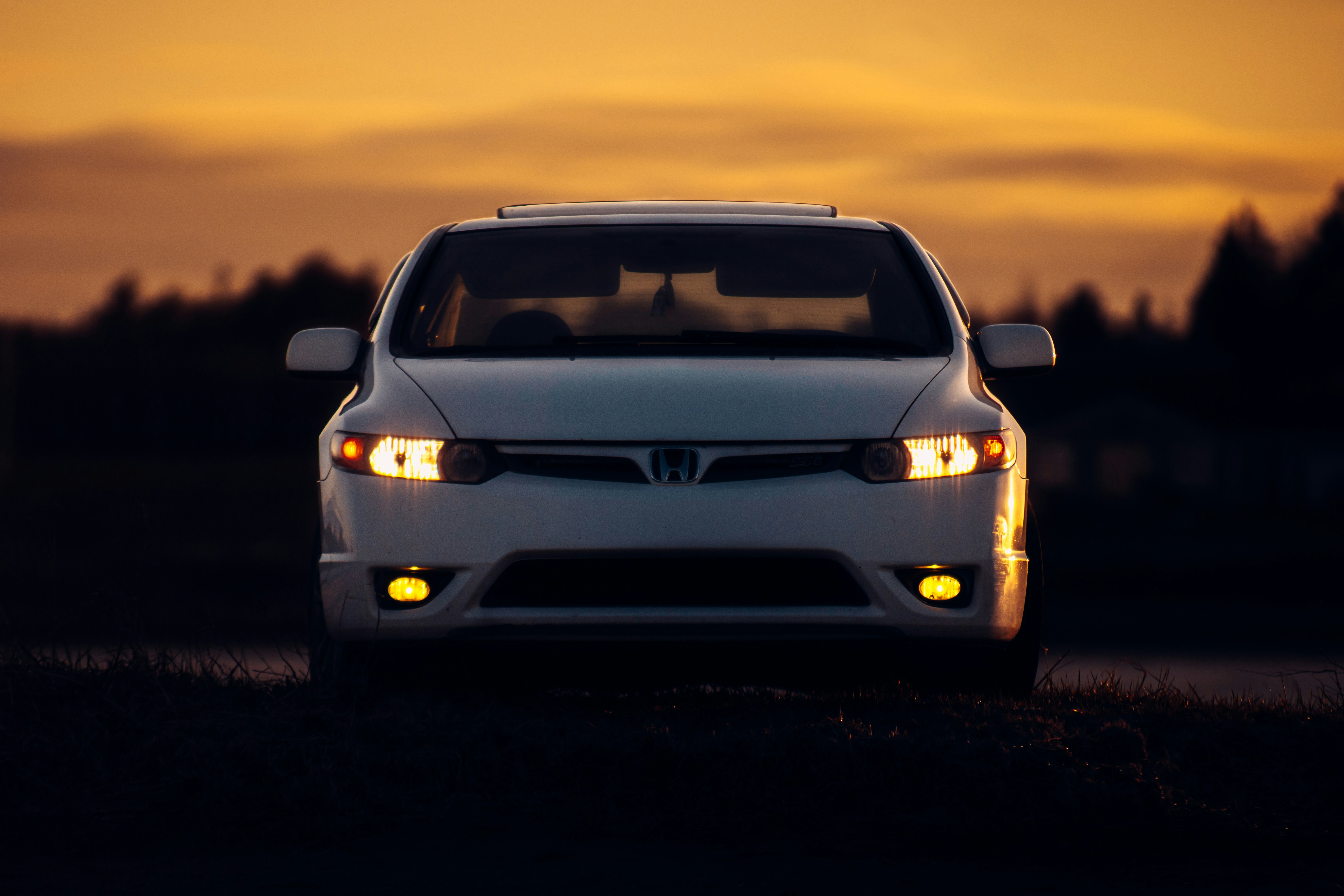 Photo by stevenrector