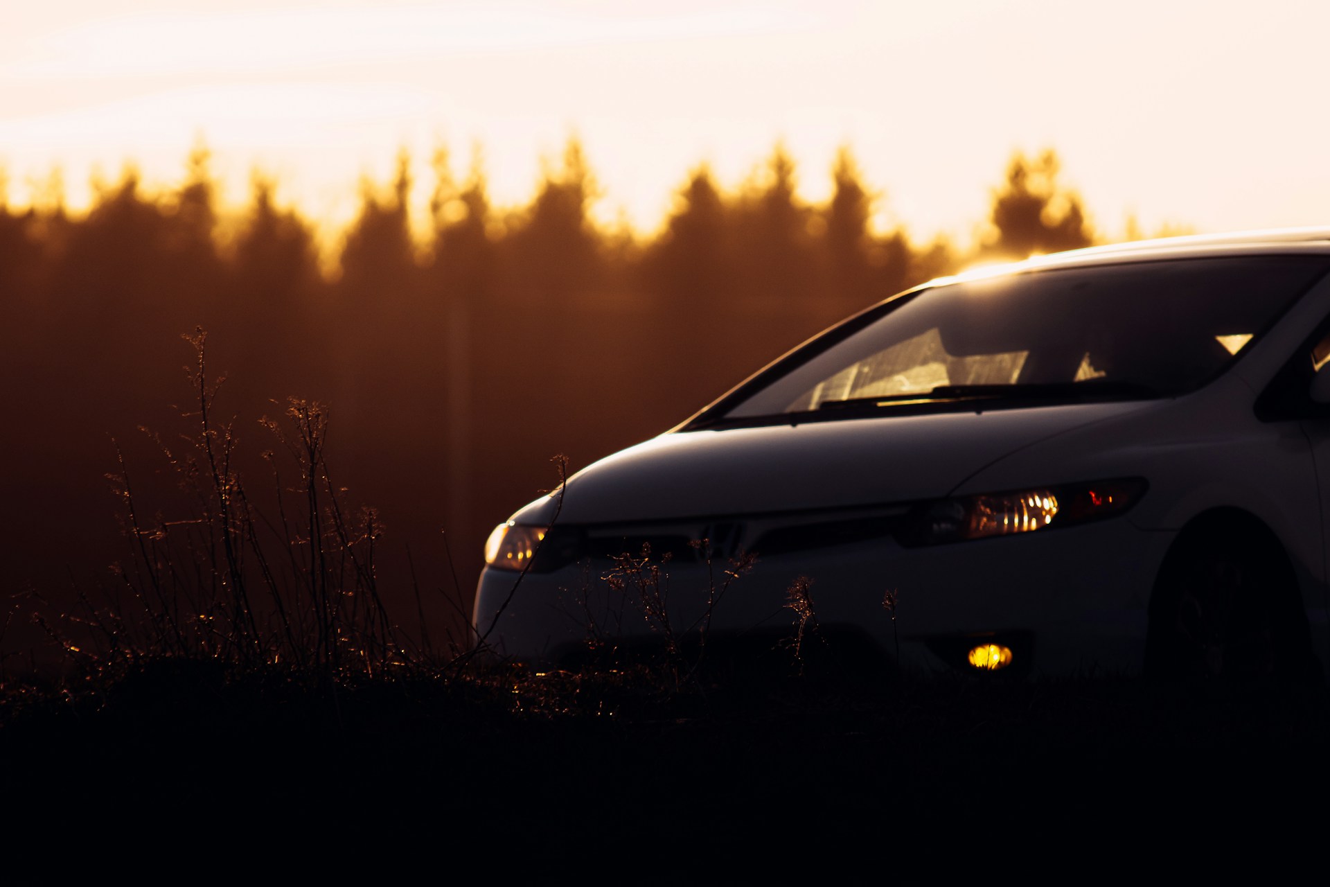 a car parked in a field