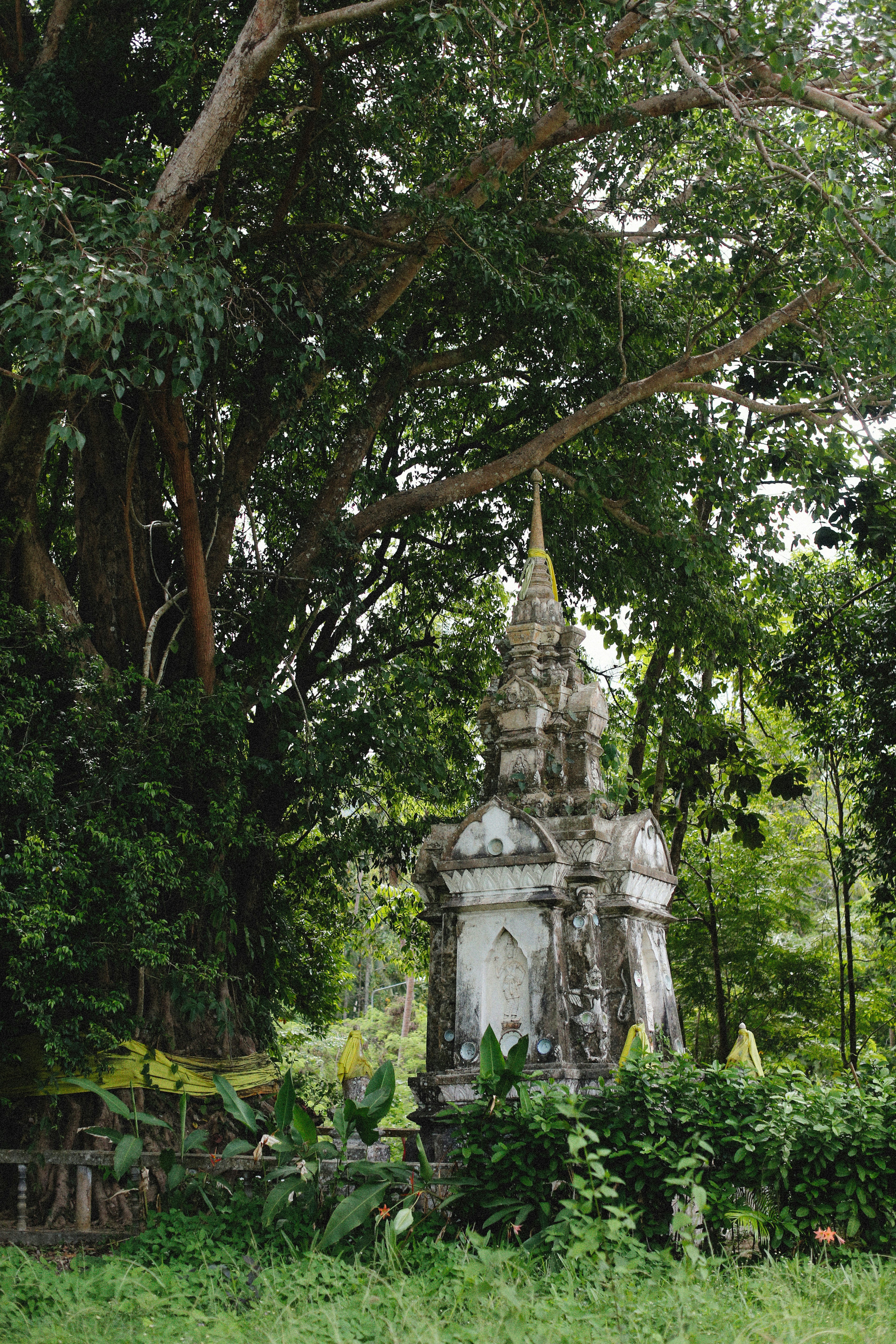 Photo by alexeydemidov