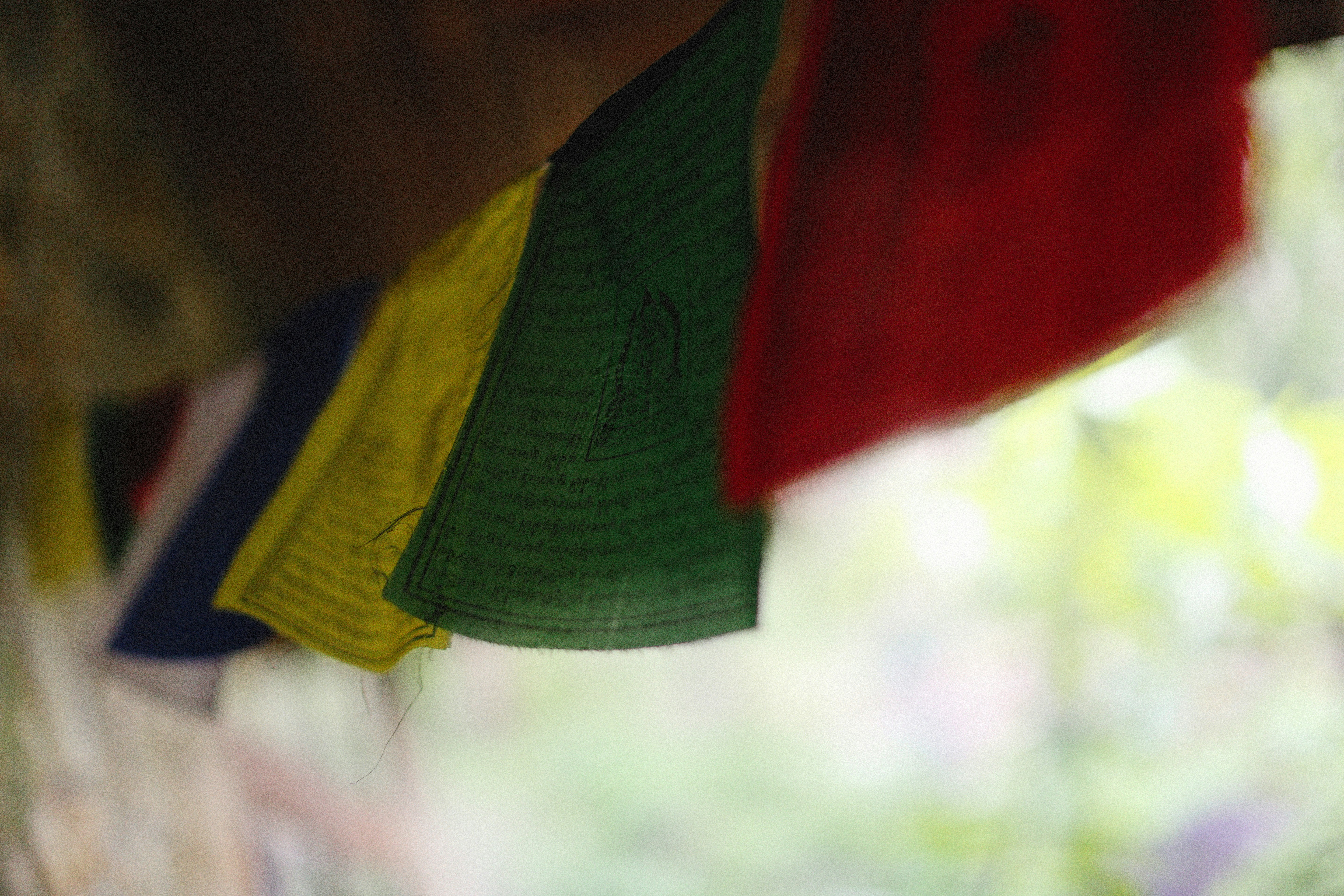 Photo by alexeydemidov