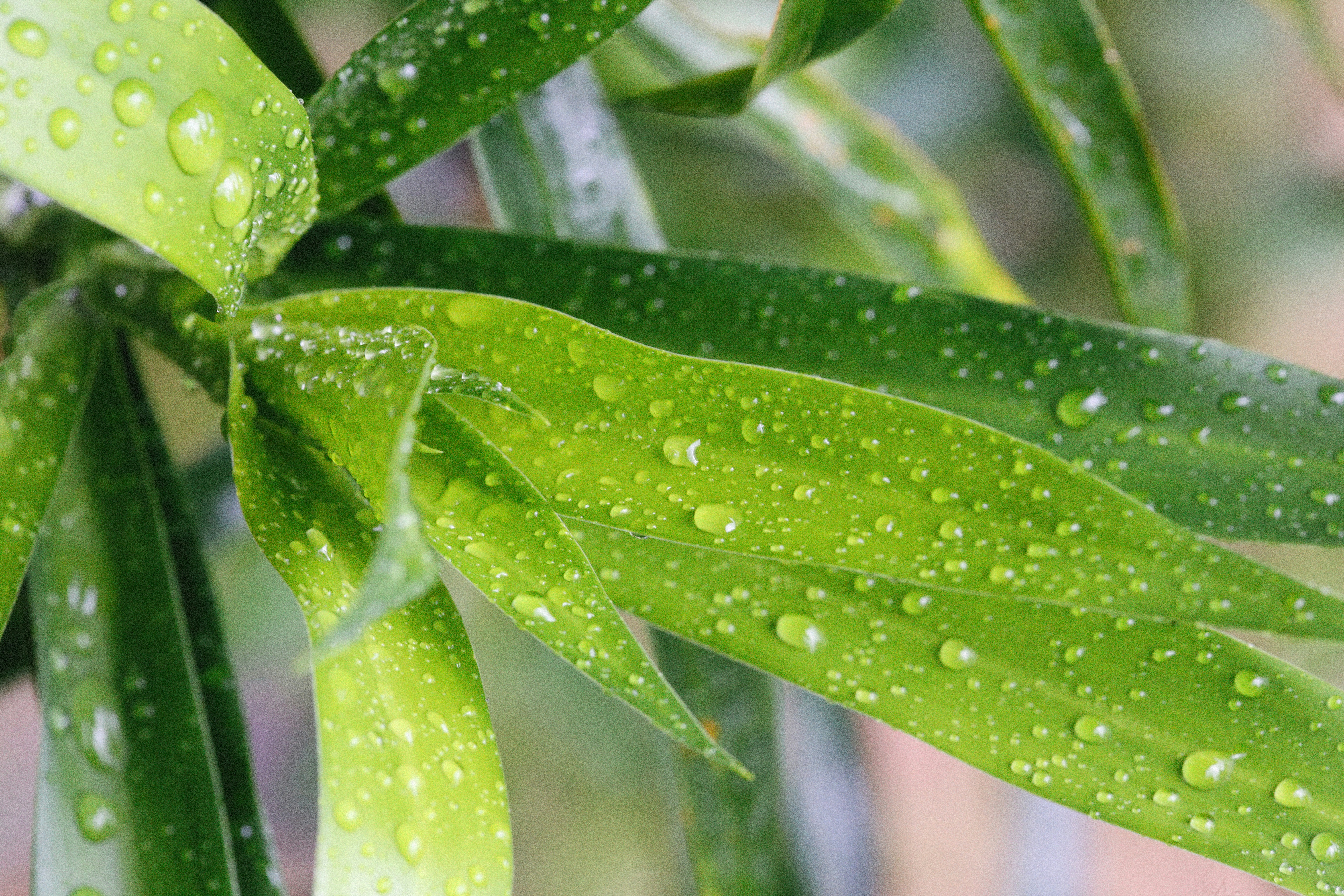 Photo by alexeydemidov