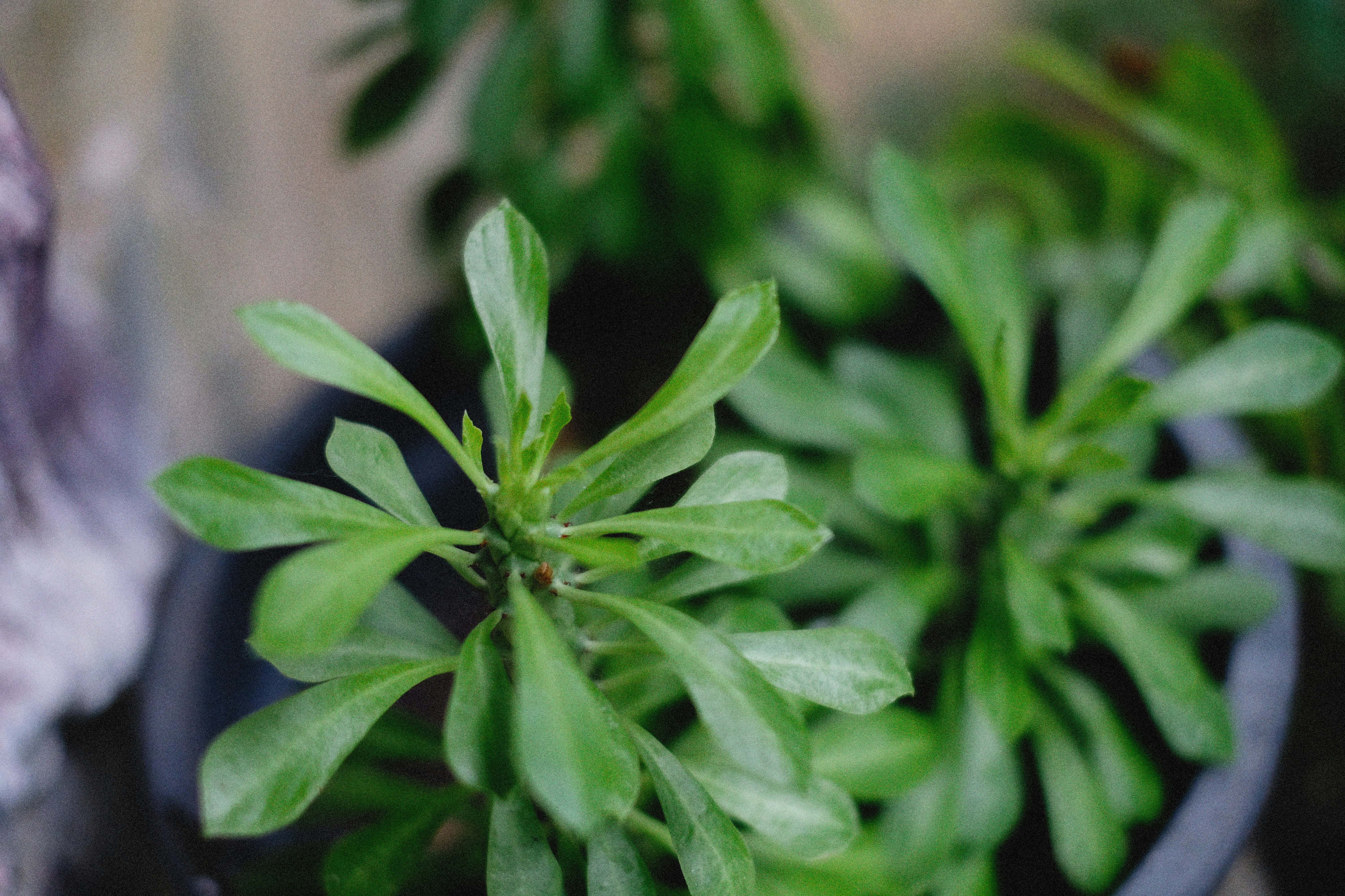 Photo by alexeydemidov