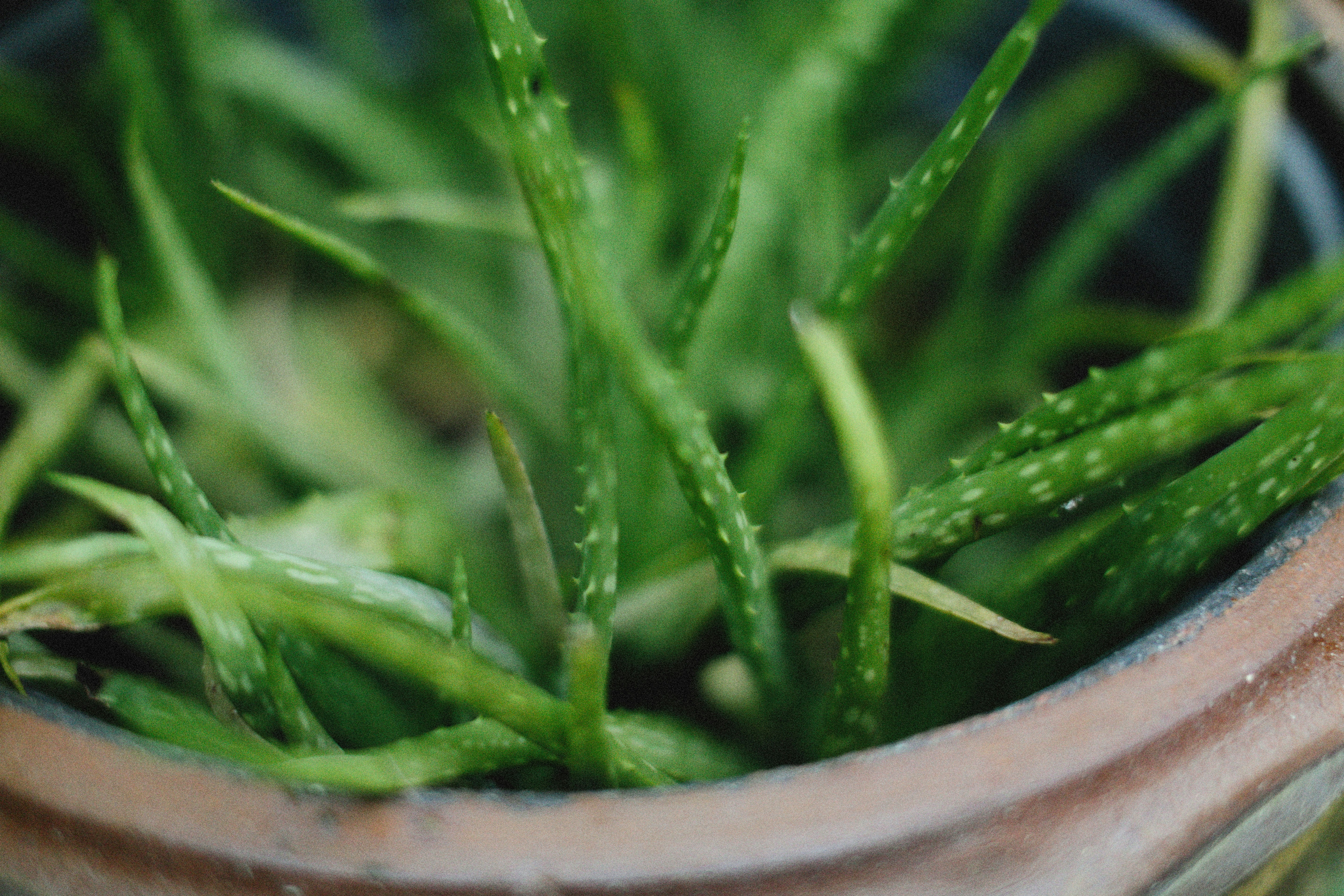 Photo by alexeydemidov