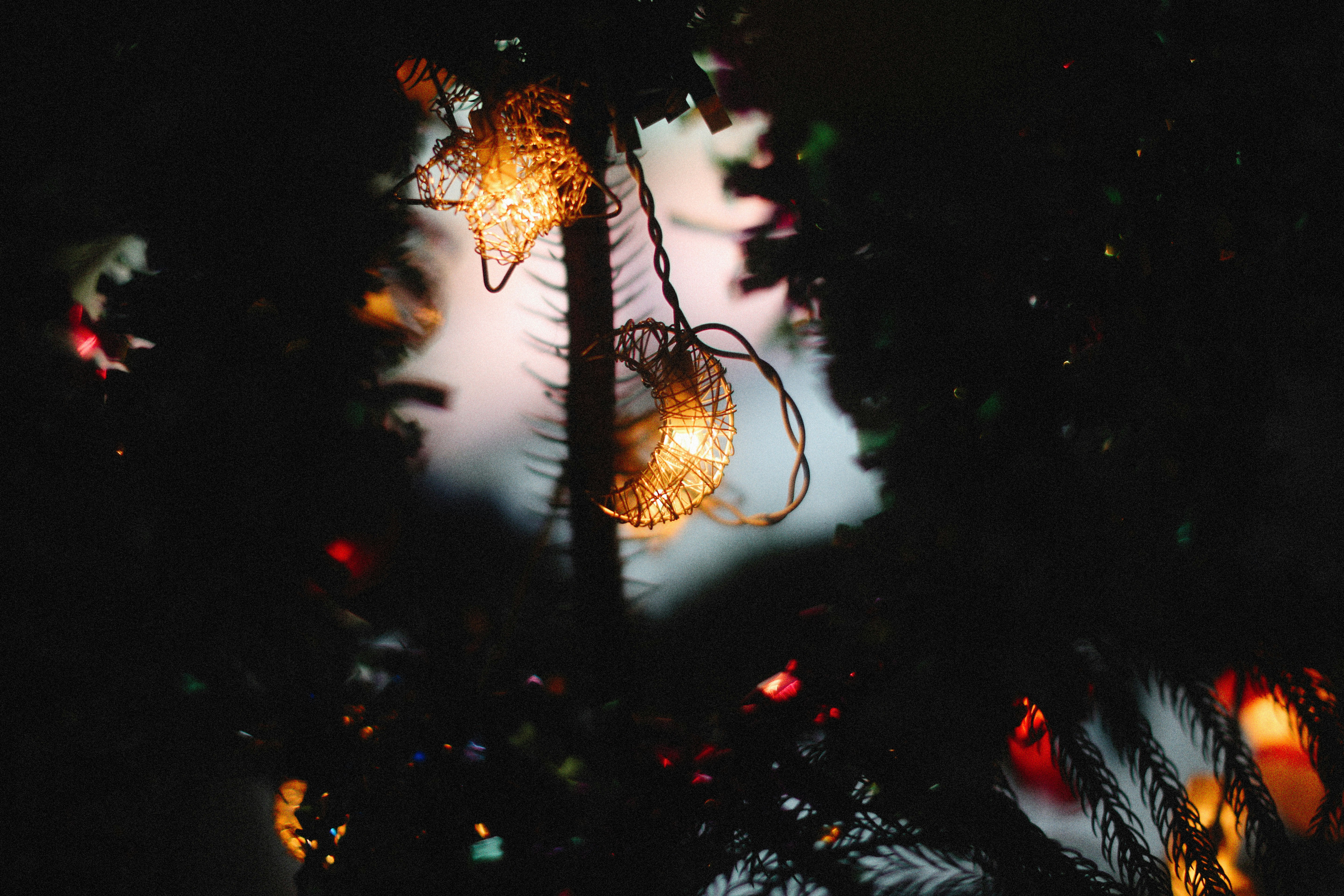 Photo by alexeydemidov